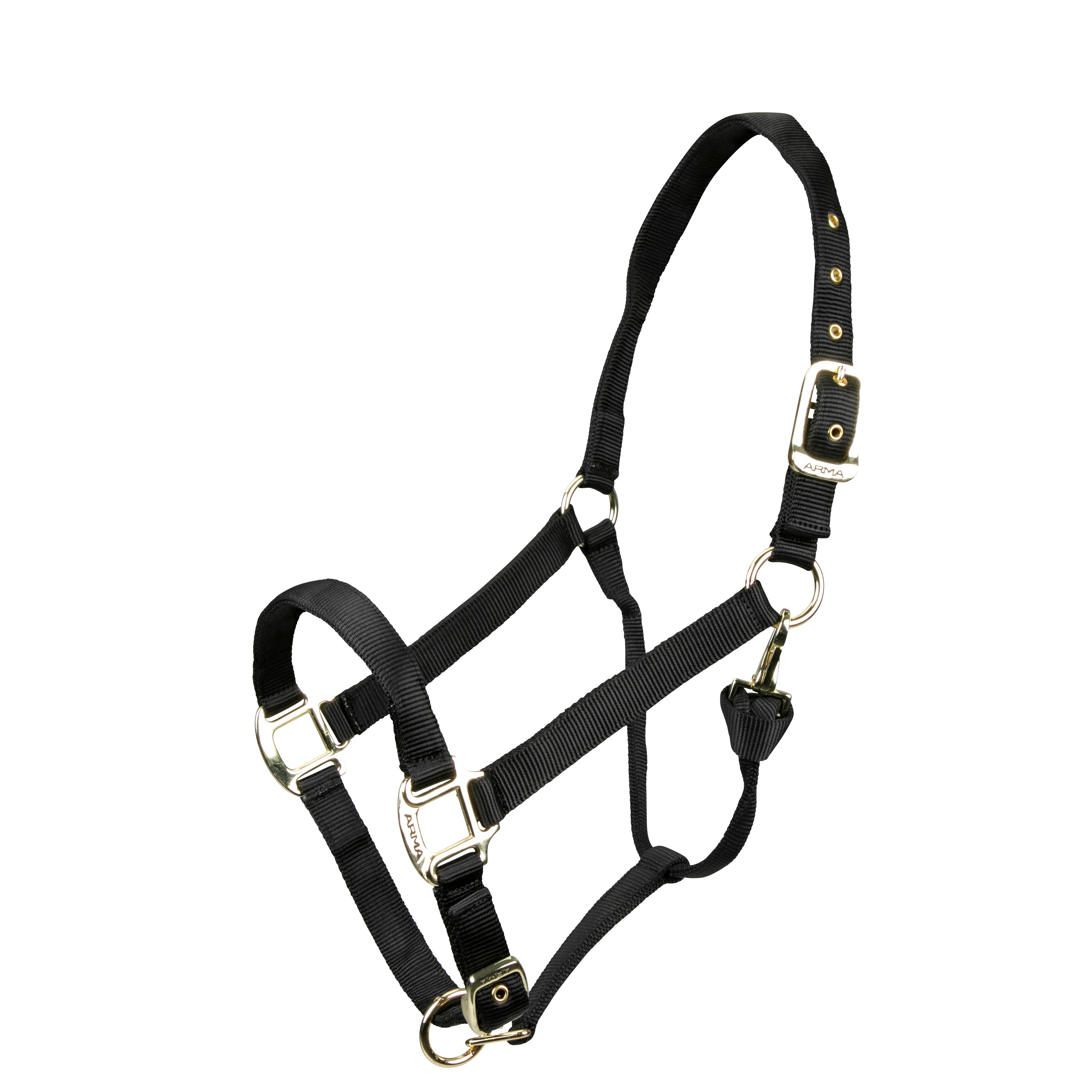 Shires ARMA Adjustable Nylon Halter-Halter-Pegasus-Pony-Black-Evolution Equestrian Co.