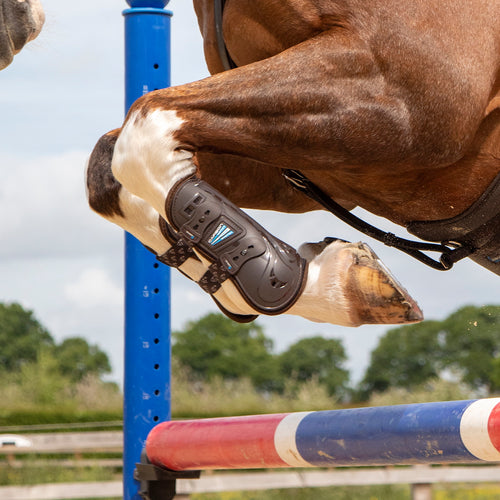 Shires ARMA Carbon Tendon Boots-Horse Boots-Pegasus-Cob-Black-Evolution Equestrian Co.
