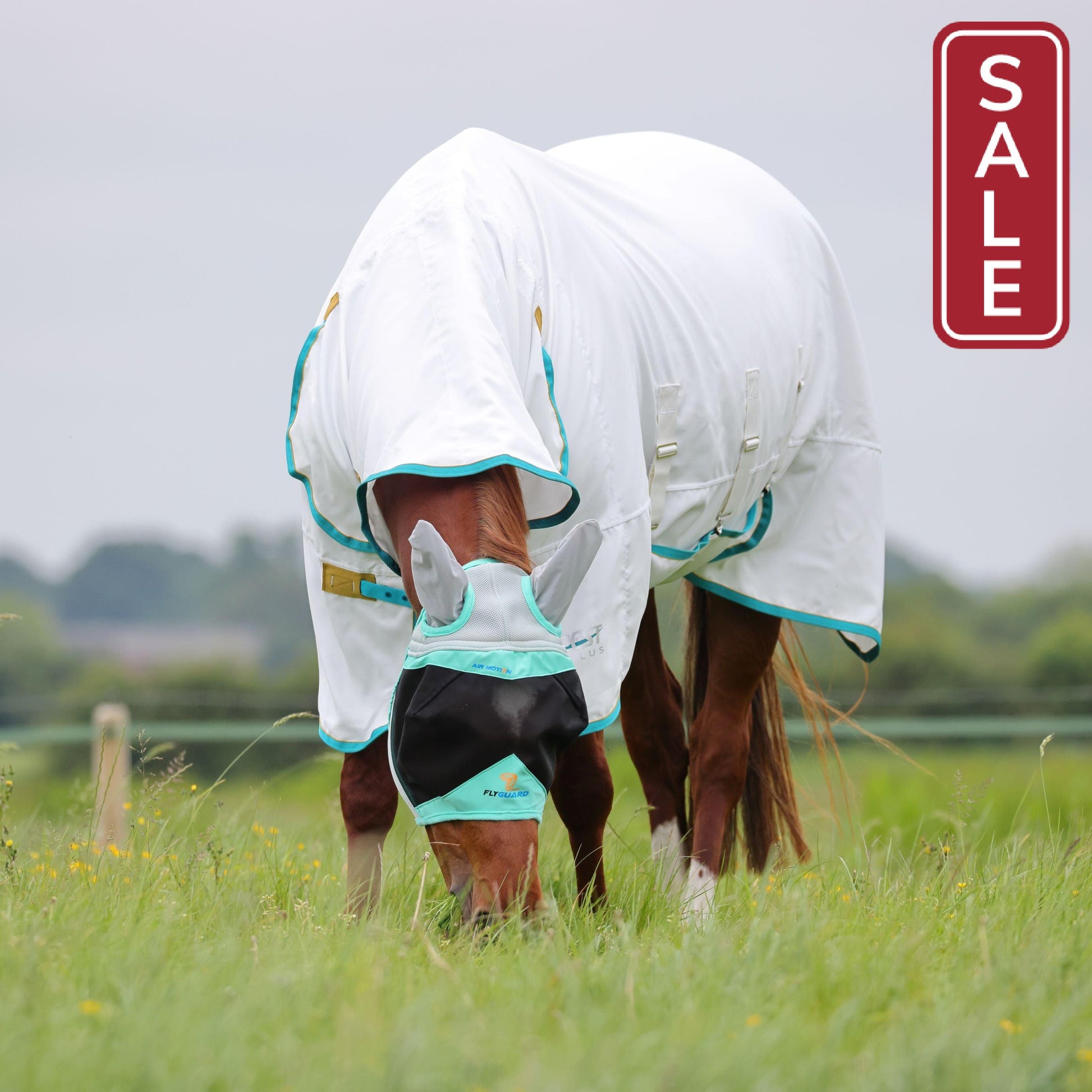 Shires Air Motion Fly Mask with Ears-Fly Mask-Pegasus-Pony-Evolution Equestrian Co.