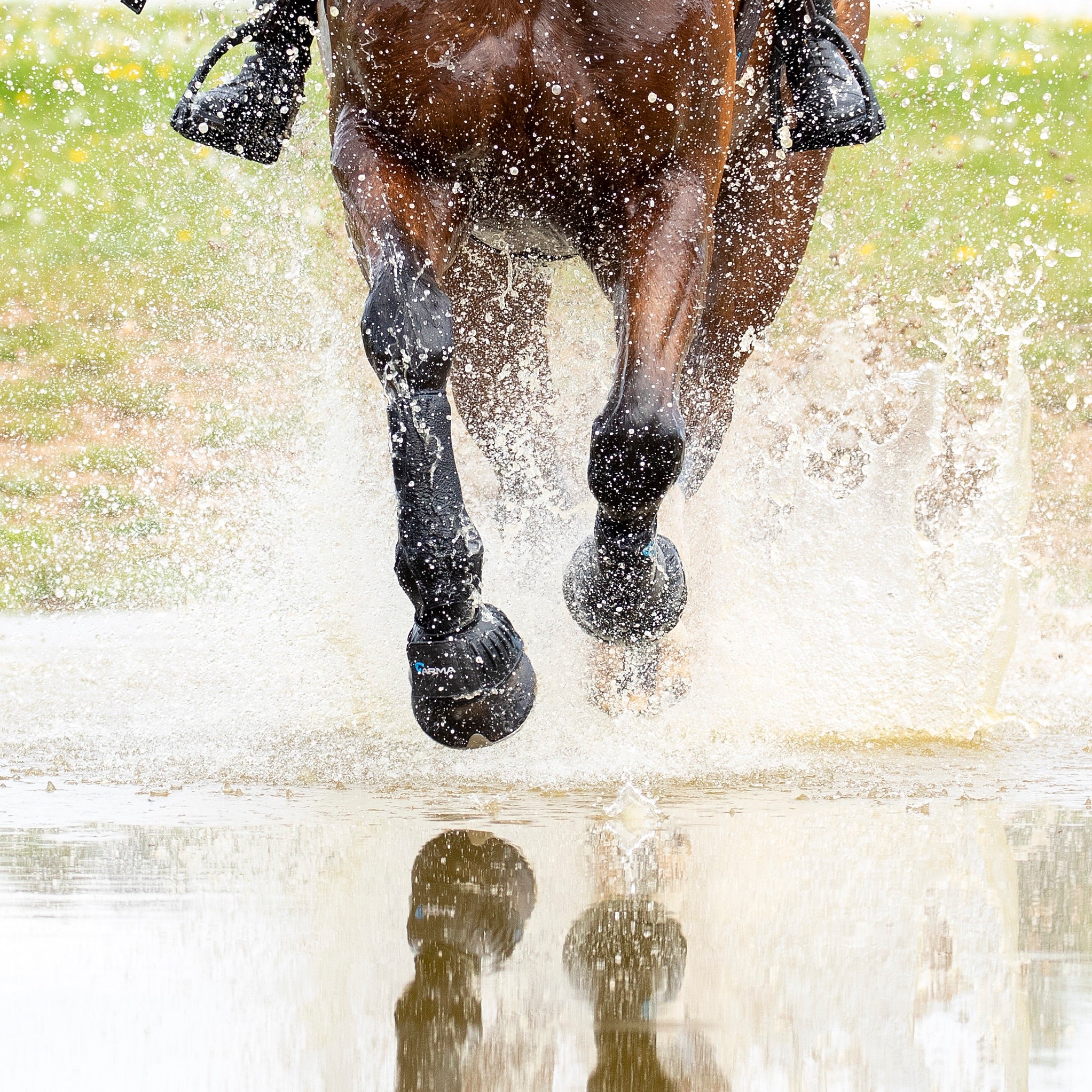 Shires Arma Over Reach Bell Boots-Bell Boots-Pegasus-Pony-Evolution Equestrian Co.
