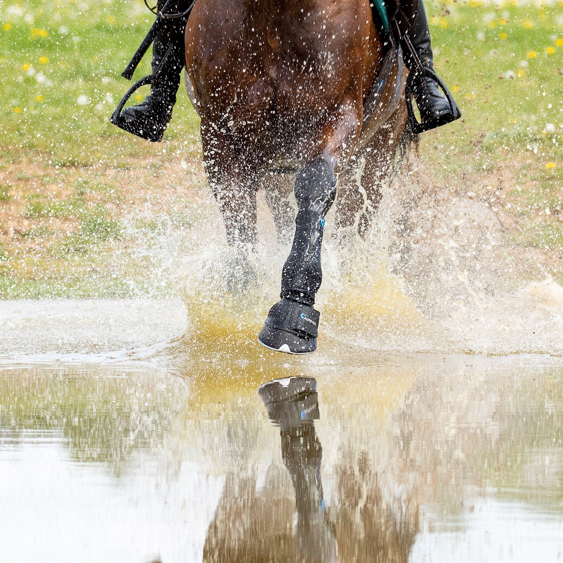 Shires Arma Over Reach Bell Boots-Bell Boots-Pegasus-Pony-Evolution Equestrian Co.