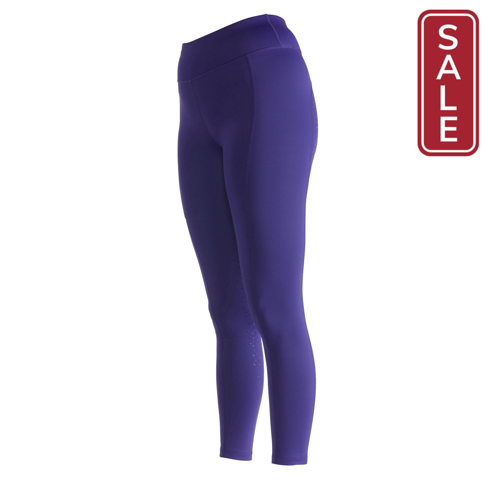Shires Aubrion Shield Winter Riding Tights-Riding Clothes-Pegasus-Ink-XXSmall-Evolution Equestrian Co.