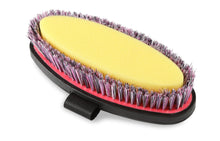 Load image into Gallery viewer, Shires EZI-Groom Grip Body Wash Brush-Horse Brush-Pegasus-Lime Green-Evolution Equestrian Co.
