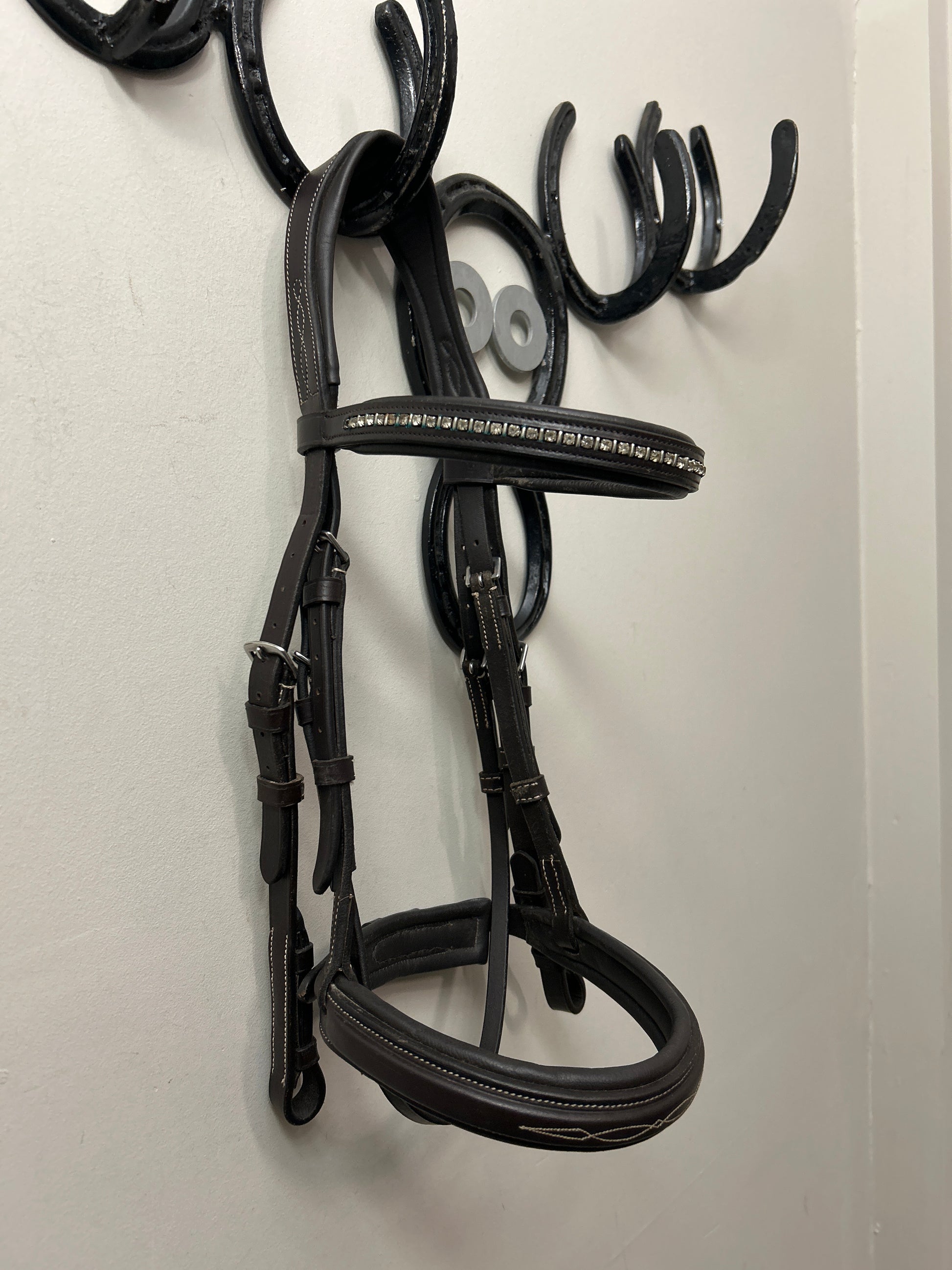 Shires Equestrian Avignon Wellington Havana Cob Bridle-Bridle-Consignment-Evolution Equestrian Co.