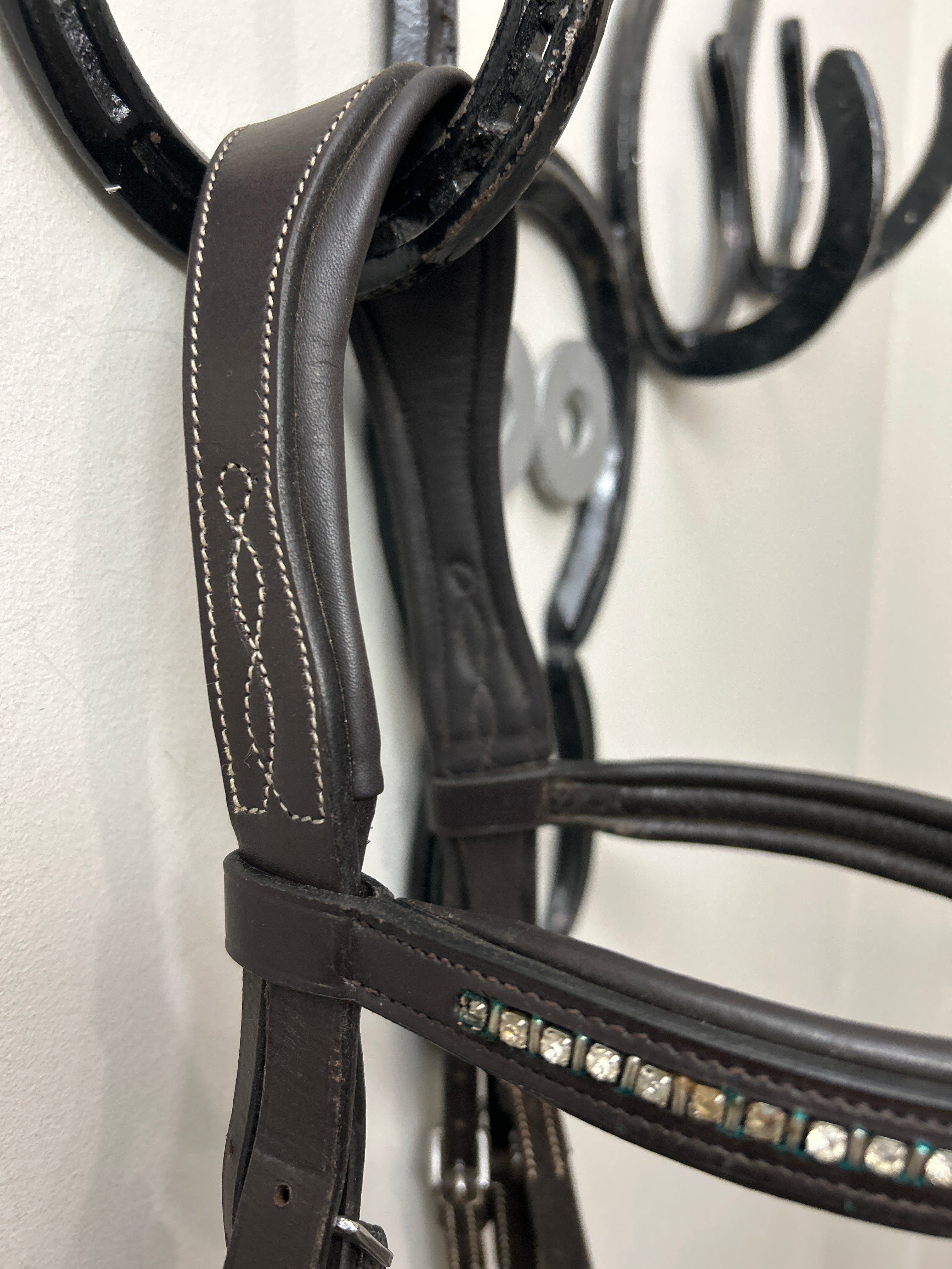 Shires Equestrian Avignon Wellington Havana Cob Bridle-Bridle-Consignment-Evolution Equestrian Co.