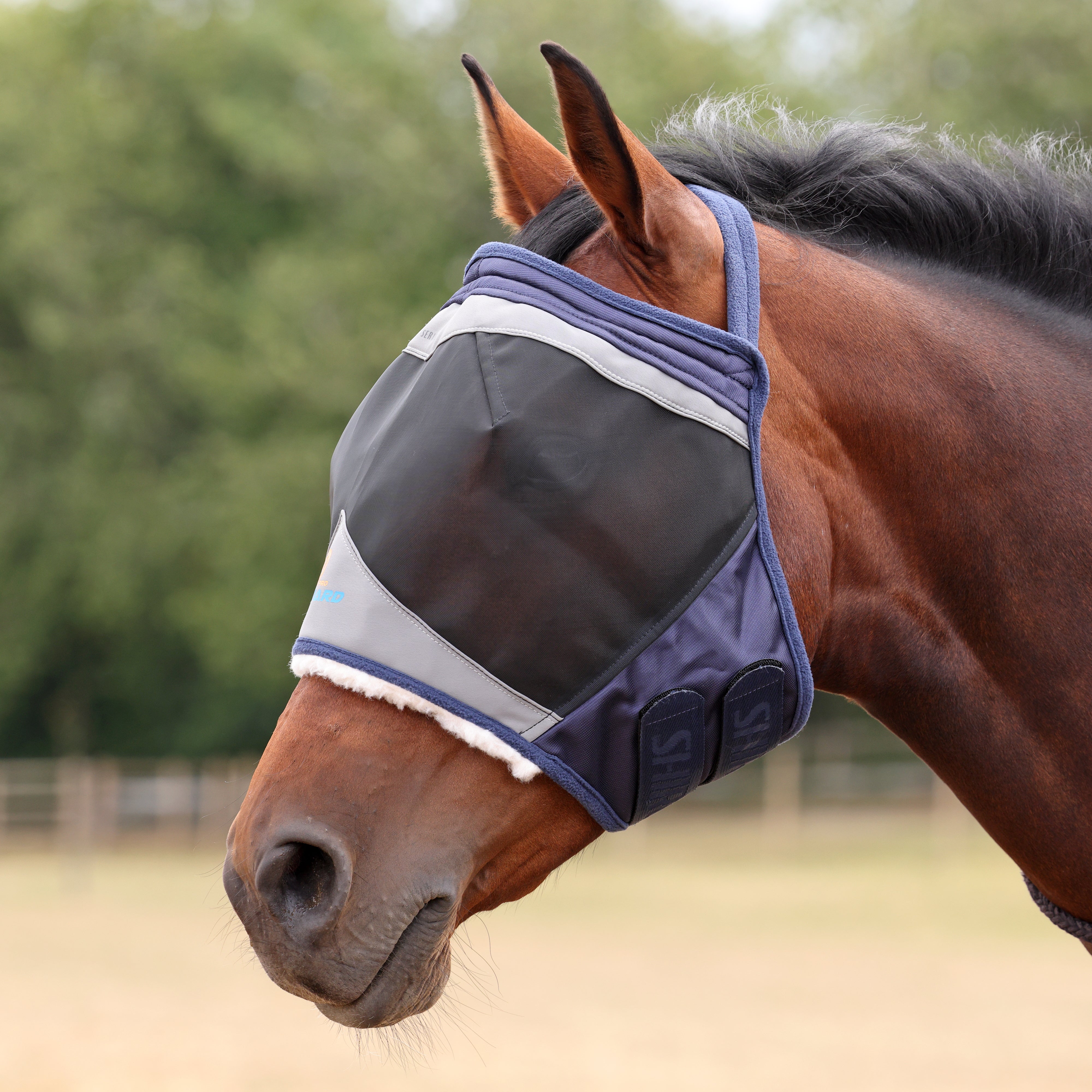 Shires Fine Mesh Earless Fly Mask-Fly Mask-Pegasus-Small Pony-Jet Black-Evolution Equestrian Co.