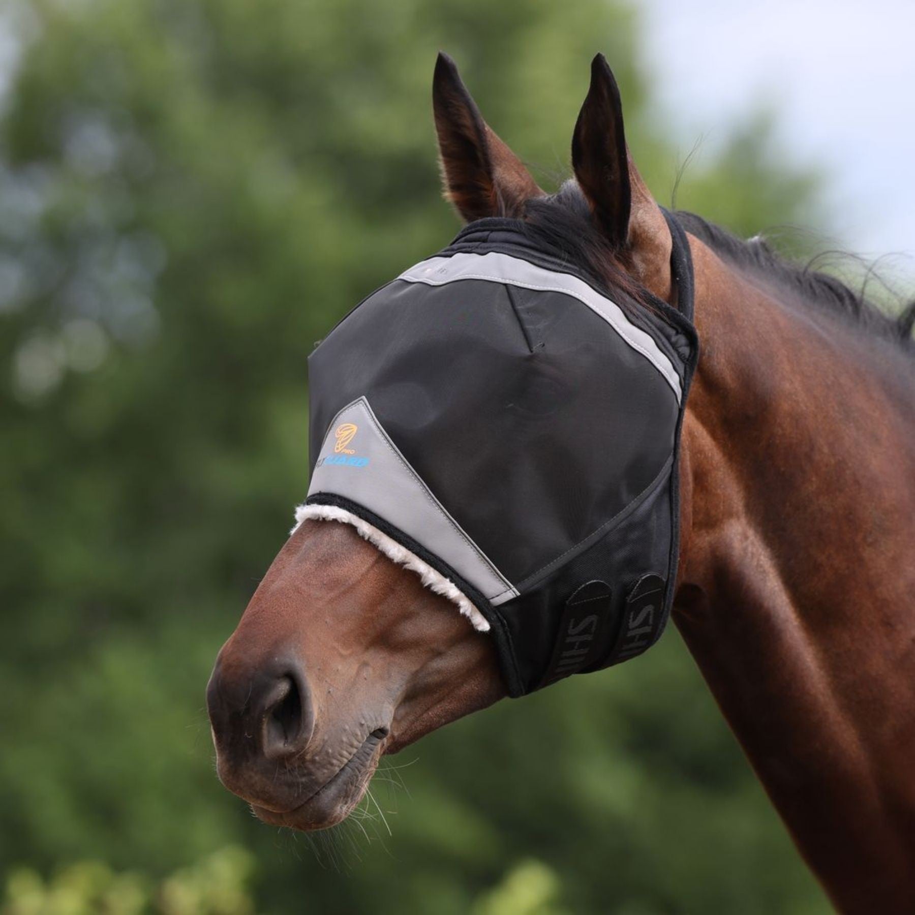Shires Fine Mesh Earless Fly Mask-Fly Mask-Pegasus-Small Pony-Jet Black-Evolution Equestrian Co.