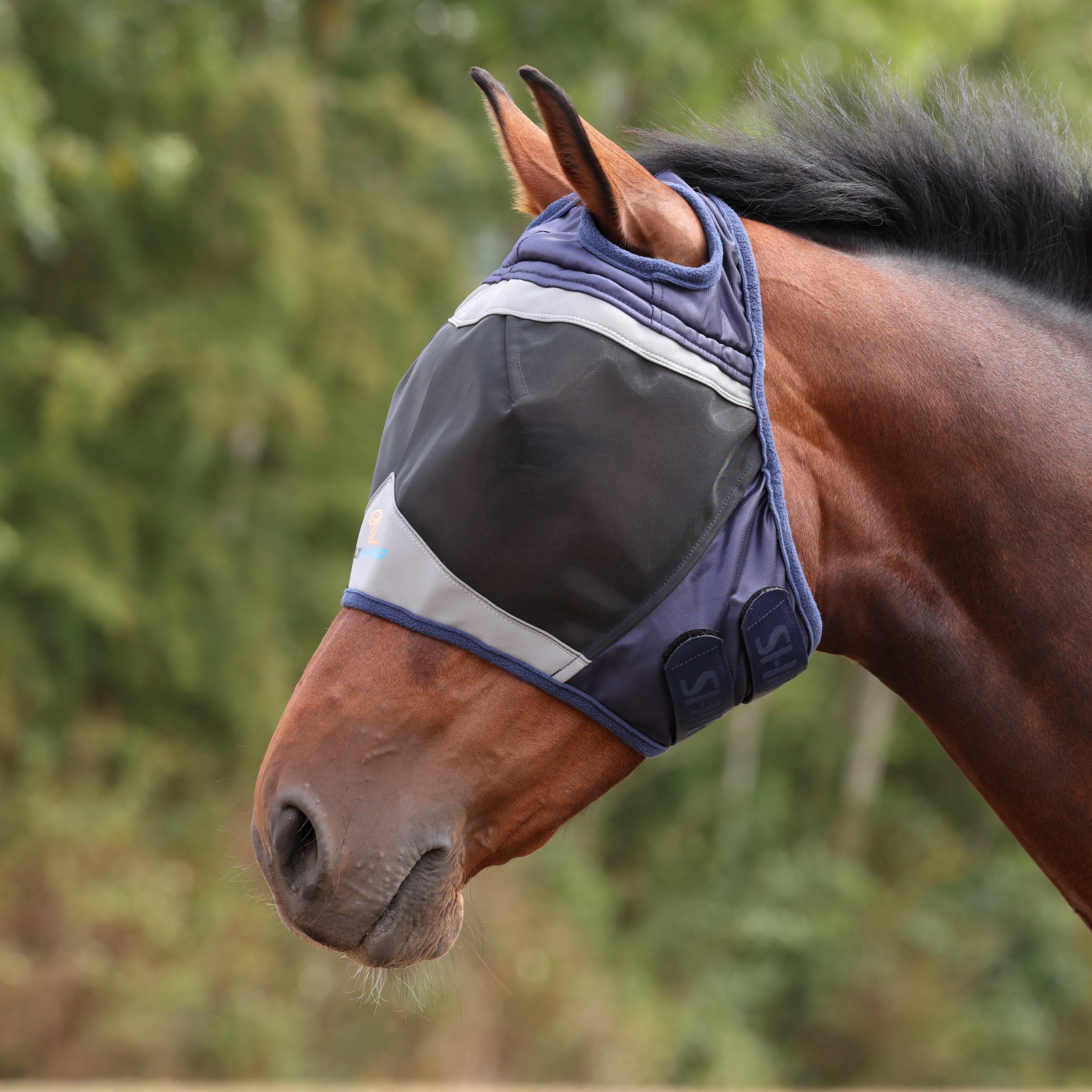 Shires Fine Mesh Fly Mask with Ear Holes-Fly Mask-Pegasus-Small Pony-Jet Black-Evolution Equestrian Co.