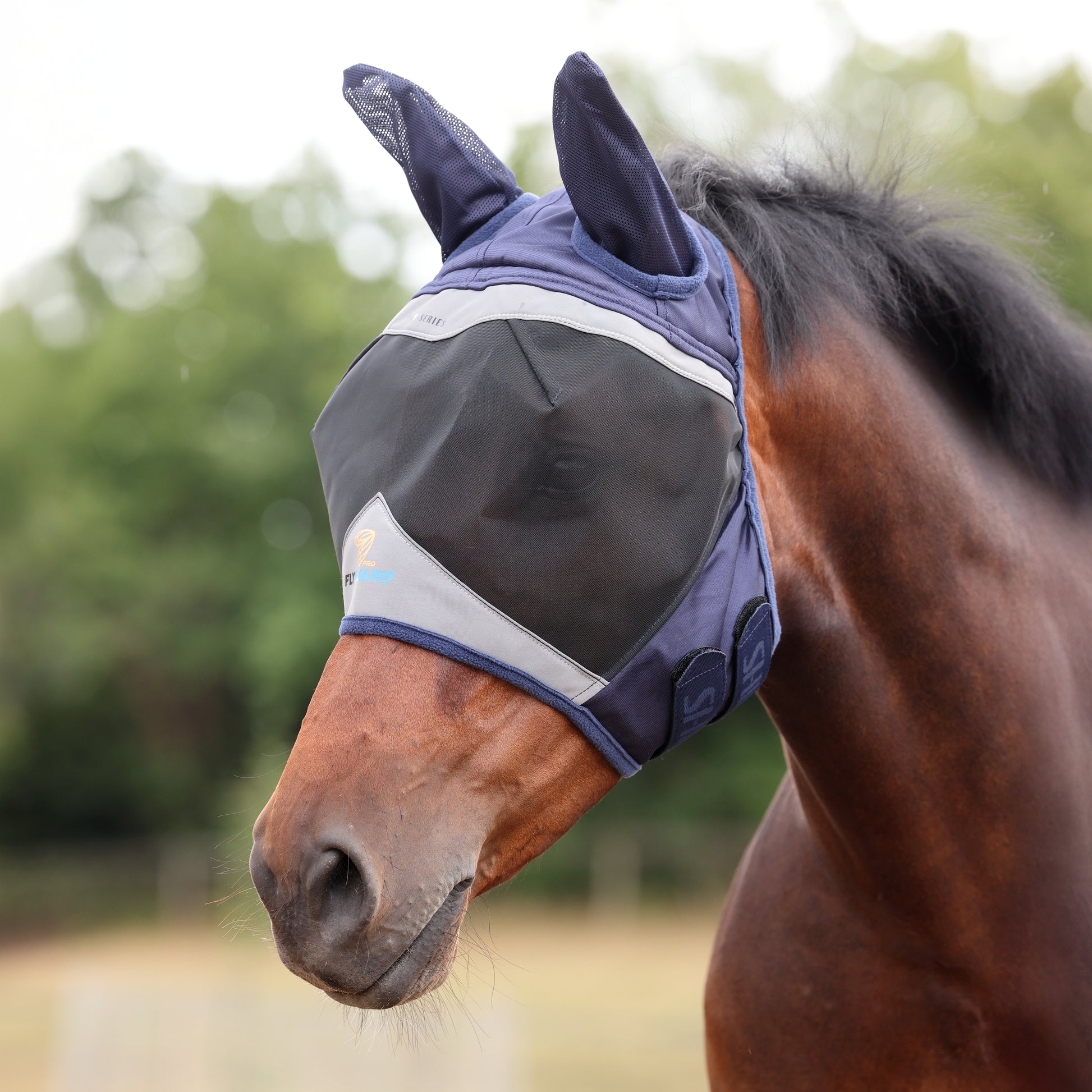 Shires Fine Mesh Fly Mask with Ears-Fly Mask-Pegasus-Small Pony-Jet Black-Evolution Equestrian Co.