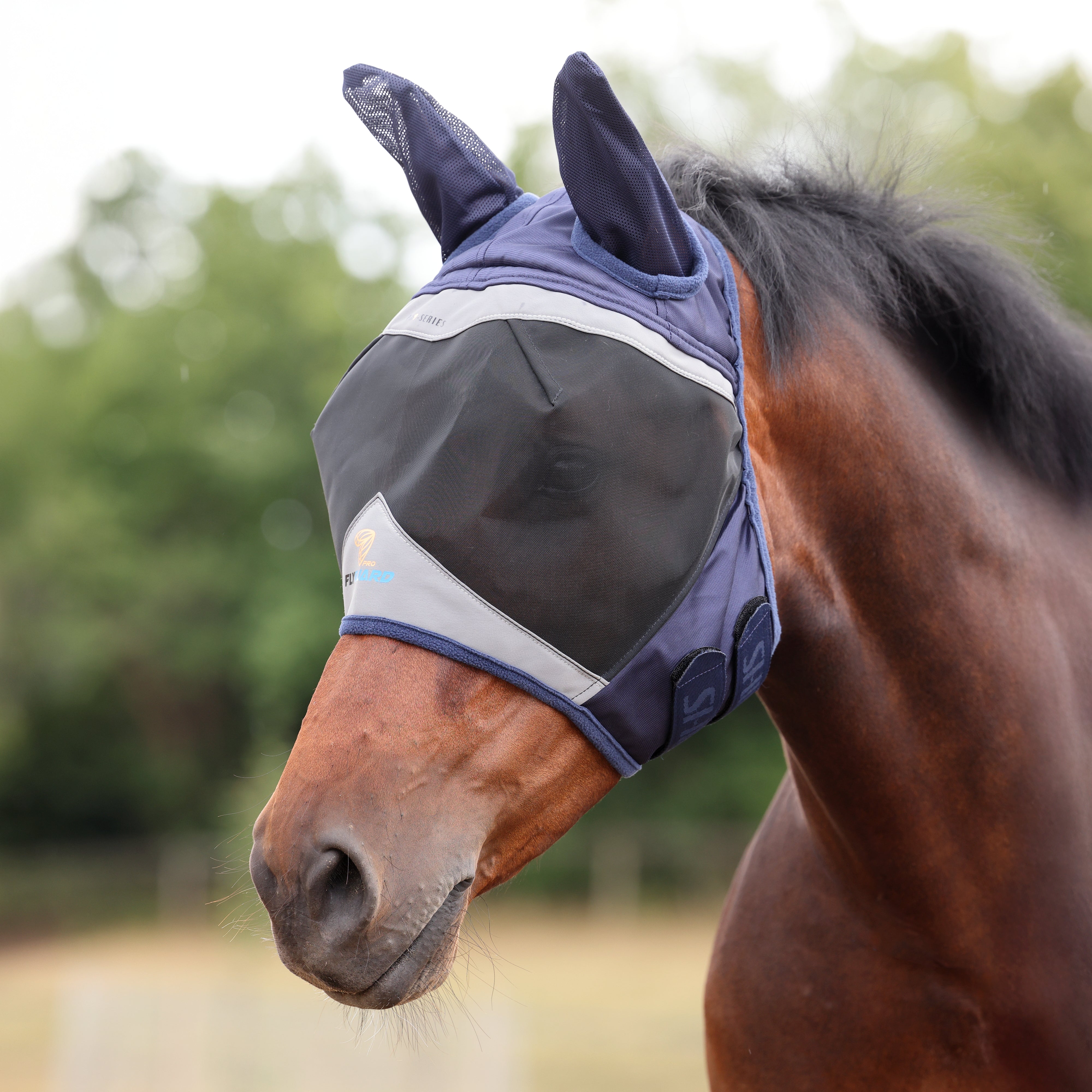 Shires Fine Mesh Fly Mask with Ears-Fly Mask-Pegasus-Small Pony-Jet Black-Evolution Equestrian Co.