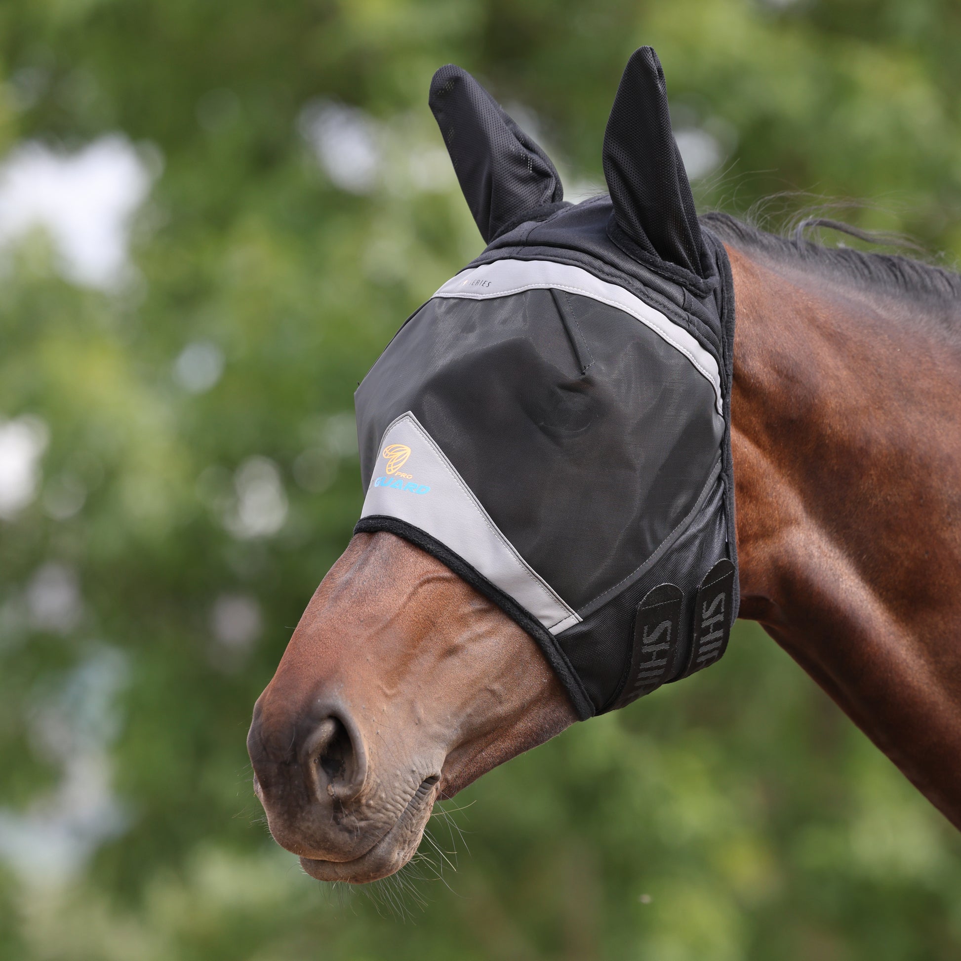 Shires Fine Mesh Fly Mask with Ears-Fly Mask-Pegasus-Small Pony-Jet Black-Evolution Equestrian Co.