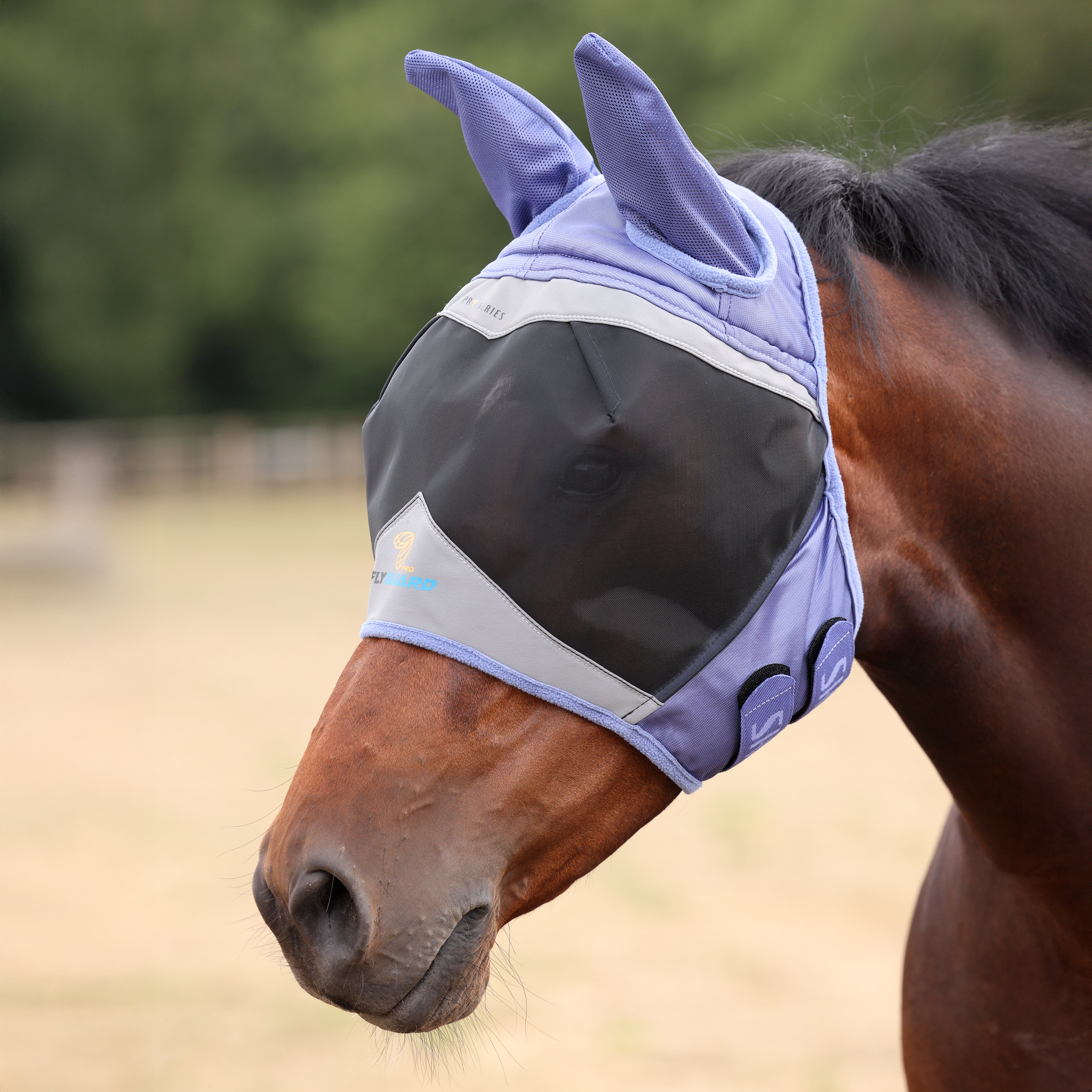 Shires Fine Mesh Fly Mask with Ears-Fly Mask-Pegasus-Small Pony-Jet Black-Evolution Equestrian Co.