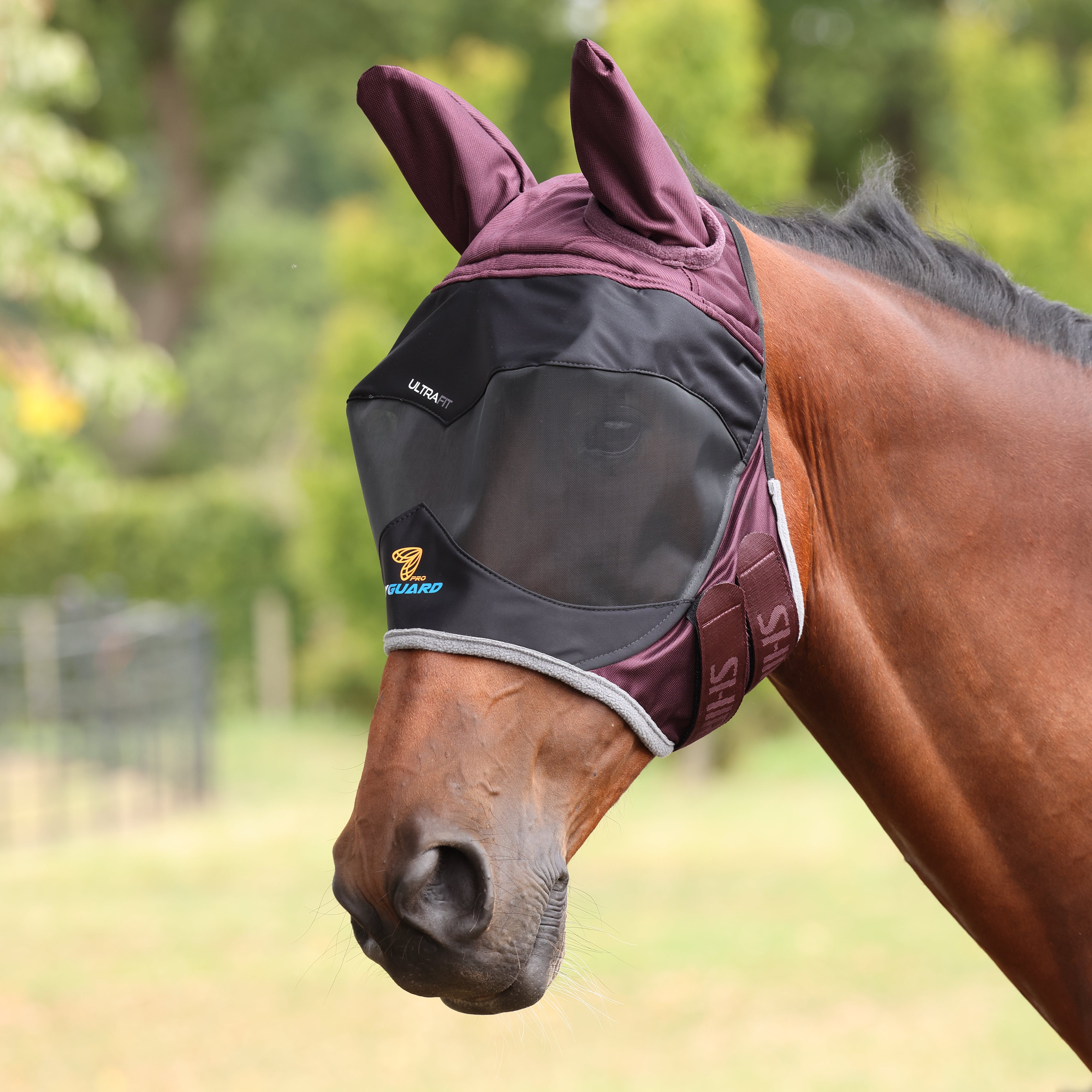 Shires FlyGuard Pro Deluxe Fly Mask with Ears-Fly Mask-Pegasus-Pony-Black Cherry-Evolution Equestrian Co.