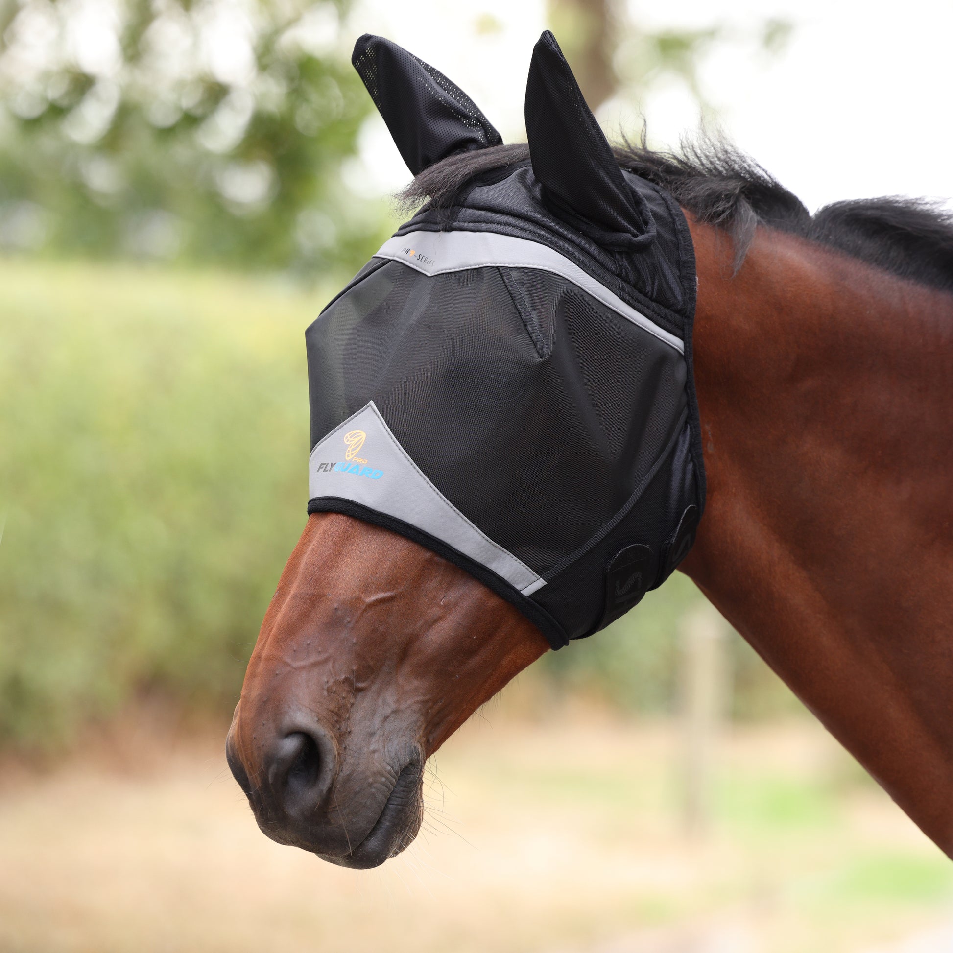 Shires FlyGuard Pro Fine Mesh Fly Mask with Ears-Fly Mask-Pegasus-Jet Black-Cob-Evolution Equestrian Co.