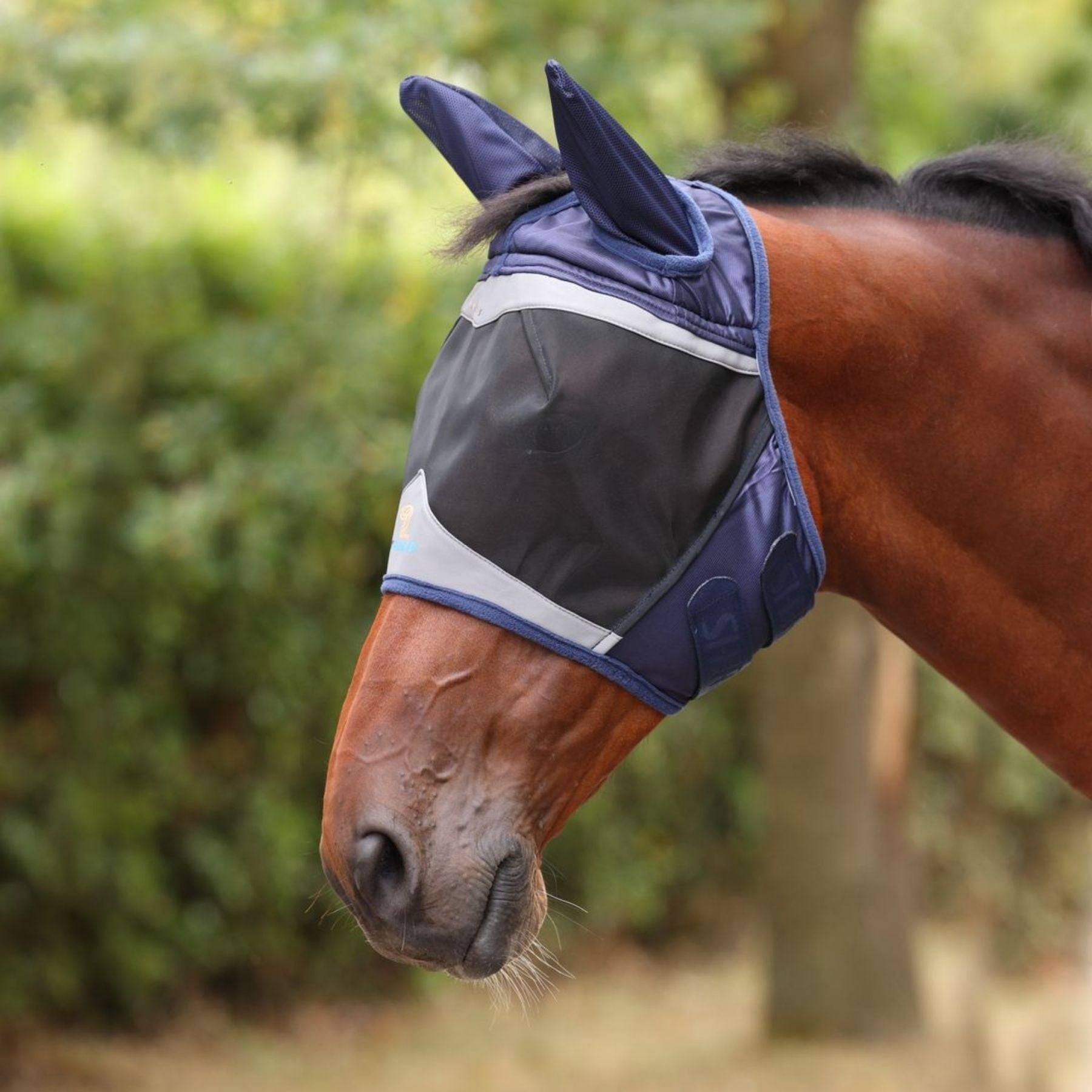 Shires FlyGuard Pro Fine Mesh Fly Mask with Ears-Fly Mask-Pegasus-Jet Black-Cob-Evolution Equestrian Co.