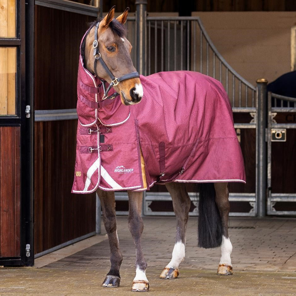 Shires Highlander Plug 100g Combo Turnout Blanket-Horse Blanket-Pegasus-69"-Evolution Equestrian Co.