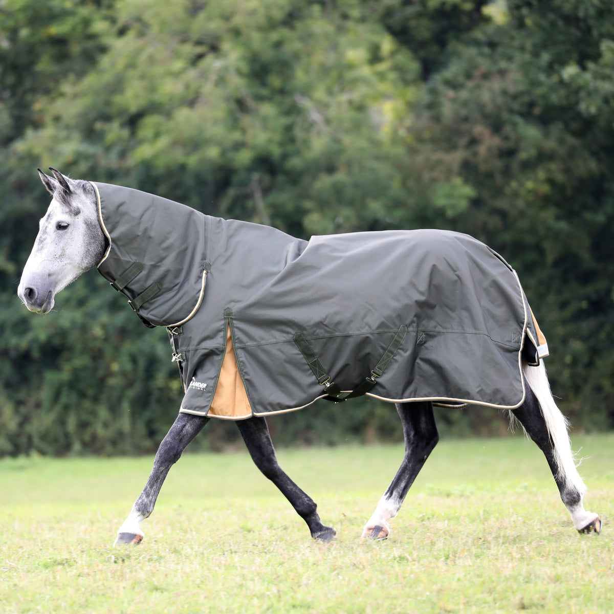 A dark gray horse blanket with a neck cover is shown on a gray horse walking in a grassy field with trees in the background.