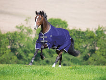 Load image into Gallery viewer, Shires Highlander Turnout Blanket 0g-Horse Blanket-Pegasus-69&quot;-Navy-Evolution Equestrian Co.

