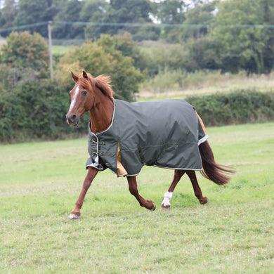 Shires Highlander Turnout Blanket 0g-Horse Blanket-Pegasus-69