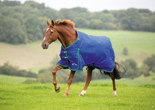 Shires Highlander Turnout Blanket 200g-Horse Blanket-Pegasus-69
