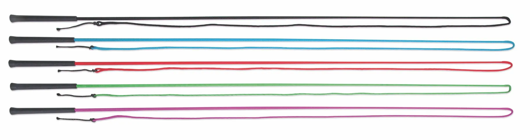 Shires Lunge Whip 63"-Horse Training-Pegasus-Blue-Evolution Equestrian Co.