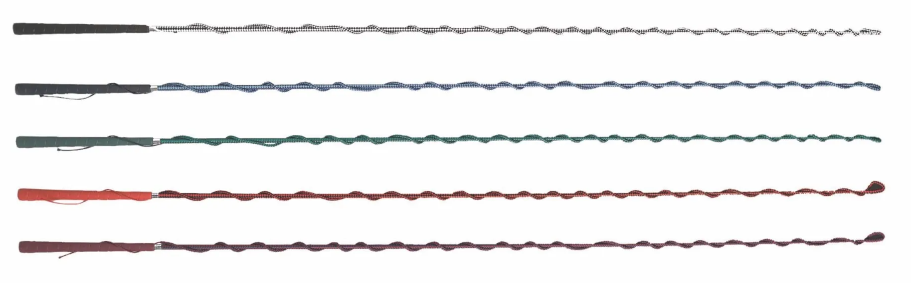 Shires Lunge Whip 66"-Horse Training-Pegasus-Blue/Red-Evolution Equestrian Co.