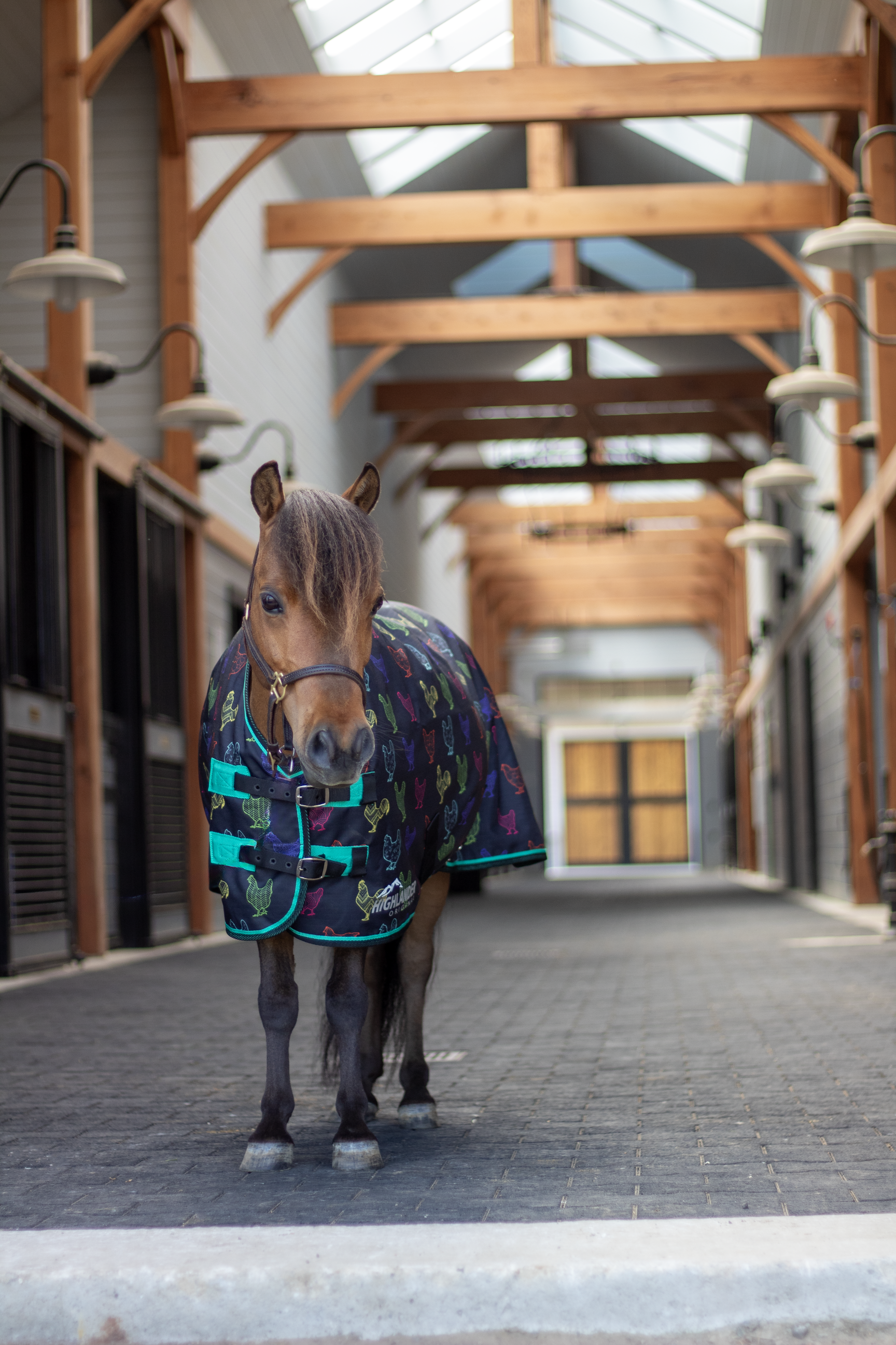 Shires Mini Highlander Turnout Blanket 0g-Horse Blanket-Pegasus-33"-Navy Forest-Evolution Equestrian Co.