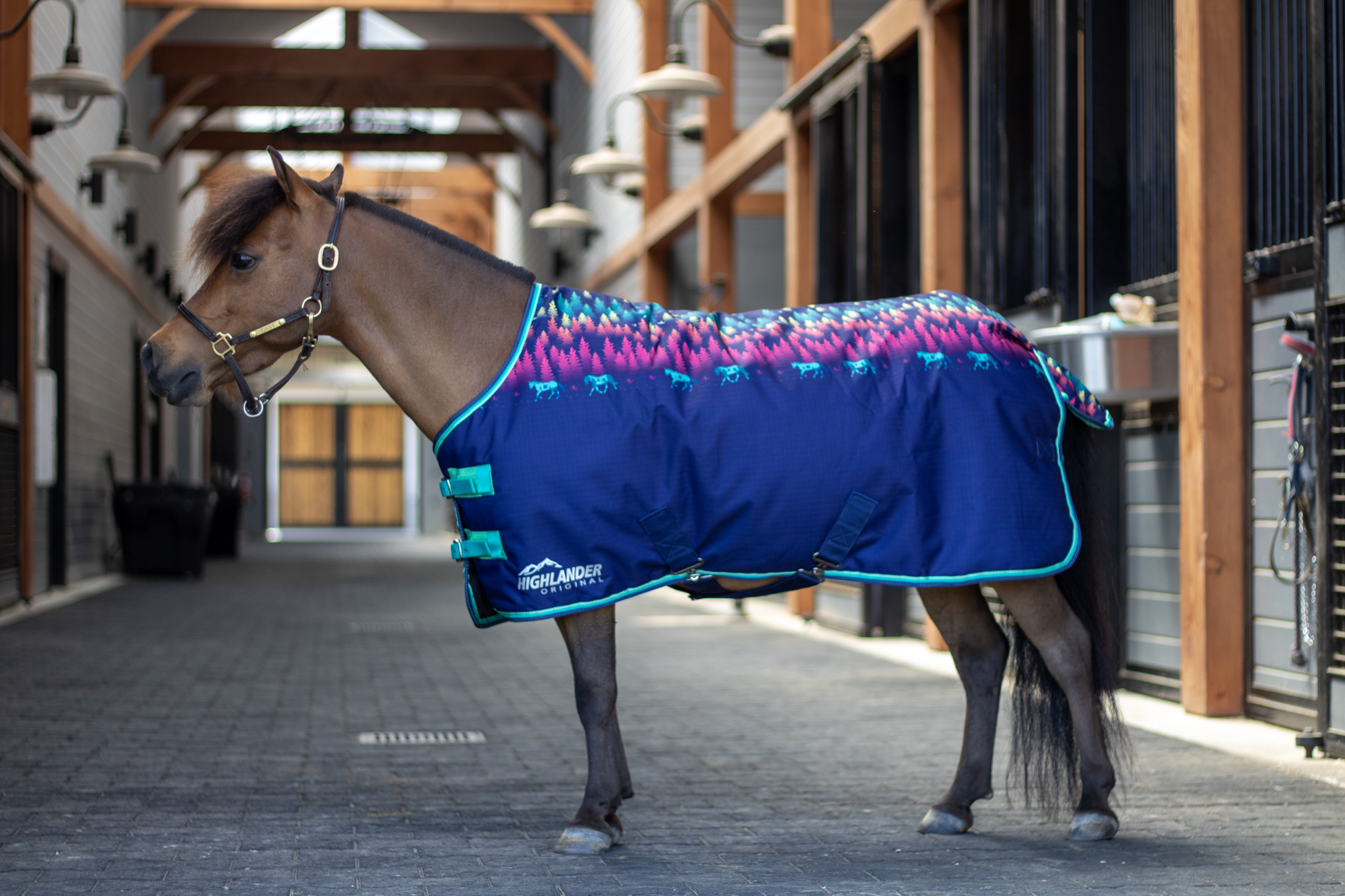 Shires Mini Highlander Turnout Blanket 0g-Horse Blanket-Pegasus-33"-Navy Forest-Evolution Equestrian Co.