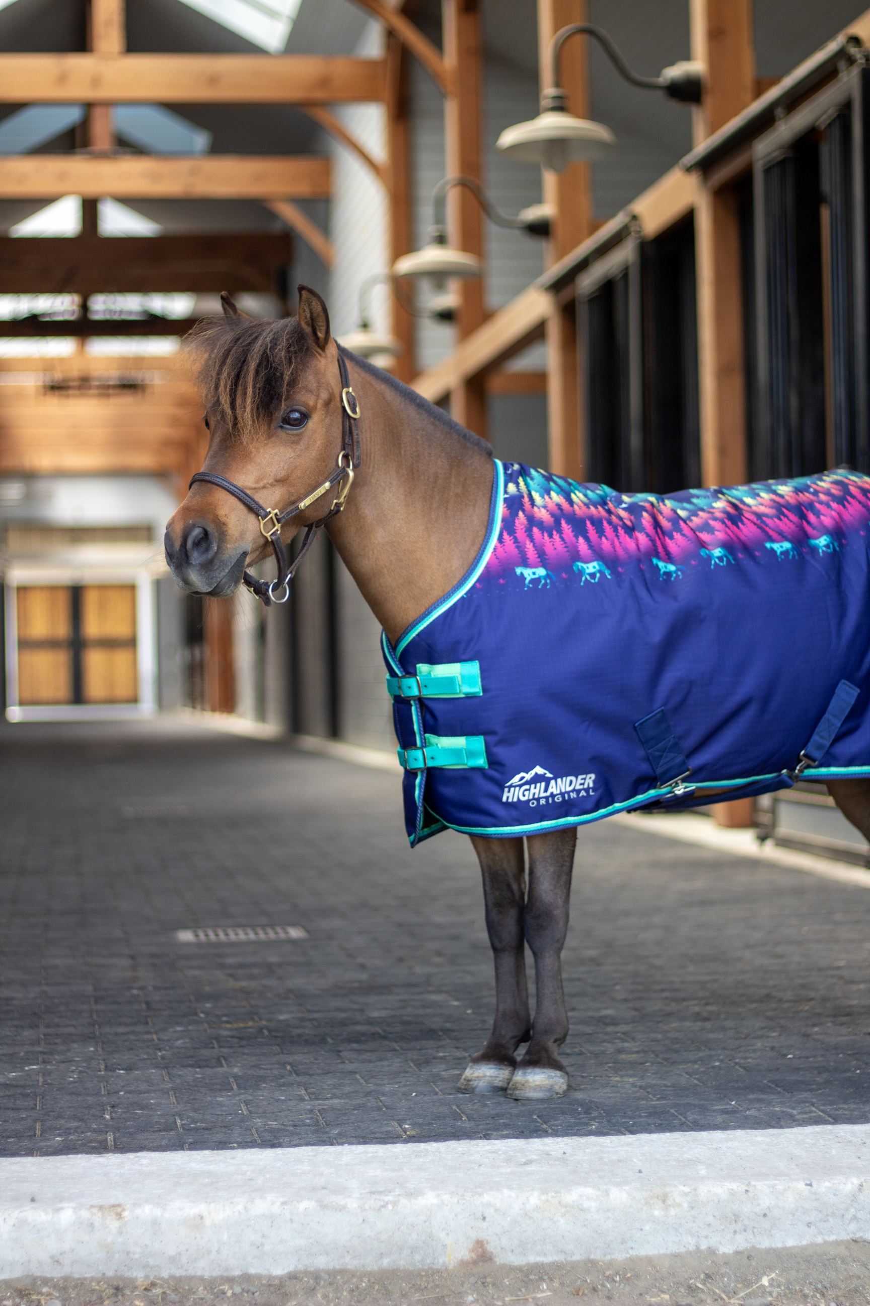 Shires Mini Highlander Turnout Blanket 0g-Horse Blanket-Pegasus-33"-Navy Forest-Evolution Equestrian Co.