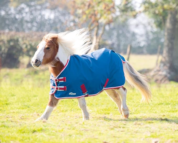 Shires Mini Highlander Turnout Blanket 0g-Horse Blanket-Pegasus-48"-Teal-Evolution Equestrian Co.