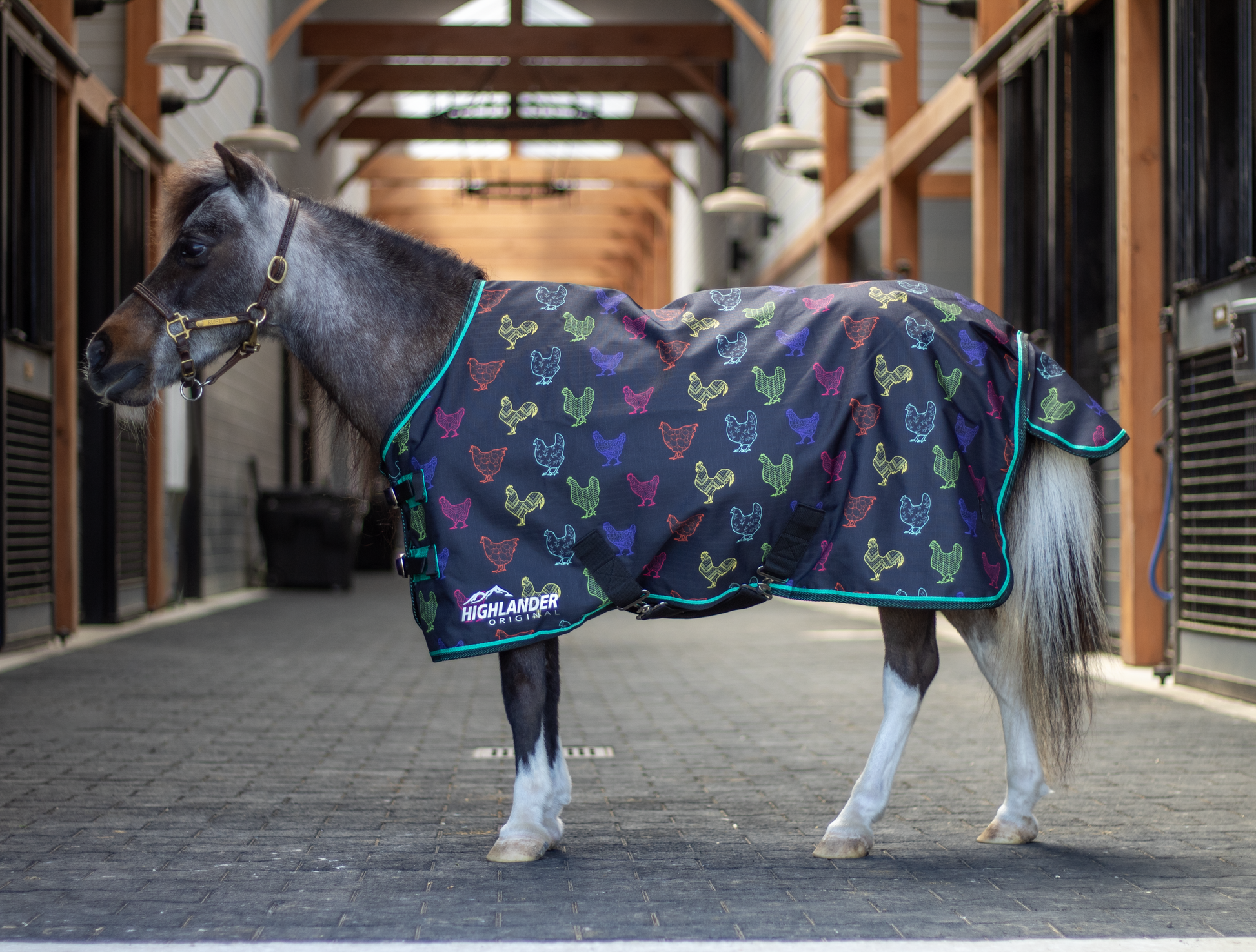 Shires Mini Highlander Turnout Blanket 0g-Horse Blanket-Pegasus-33"-Funky Chicken-Evolution Equestrian Co.