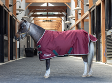 Load image into Gallery viewer, Shires Mini Highlander Winter Blanket 200g-Horse Blanket-Pegasus-33&quot;-Maroon-Evolution Equestrian Co.
