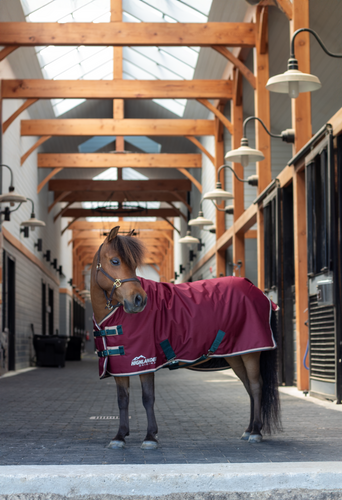 Shires Mini Highlander Winter Blanket 200g-Horse Blanket-Pegasus-33