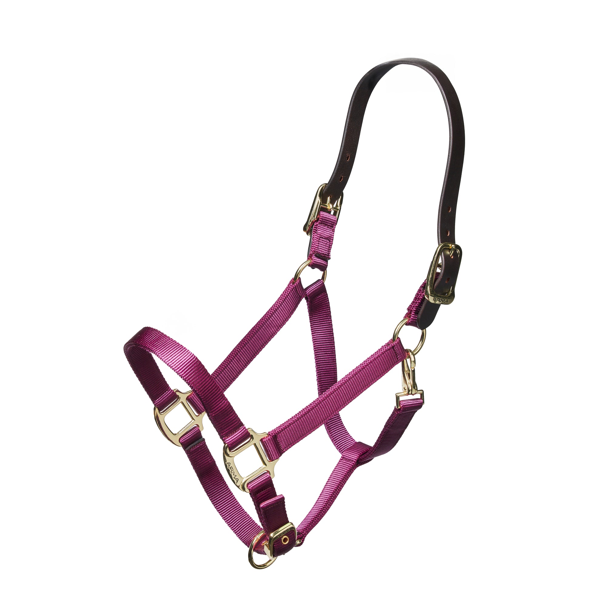 Shires Nylon Halter with Leather Crown-Halter-Pegasus-Pony-Black-Evolution Equestrian Co.