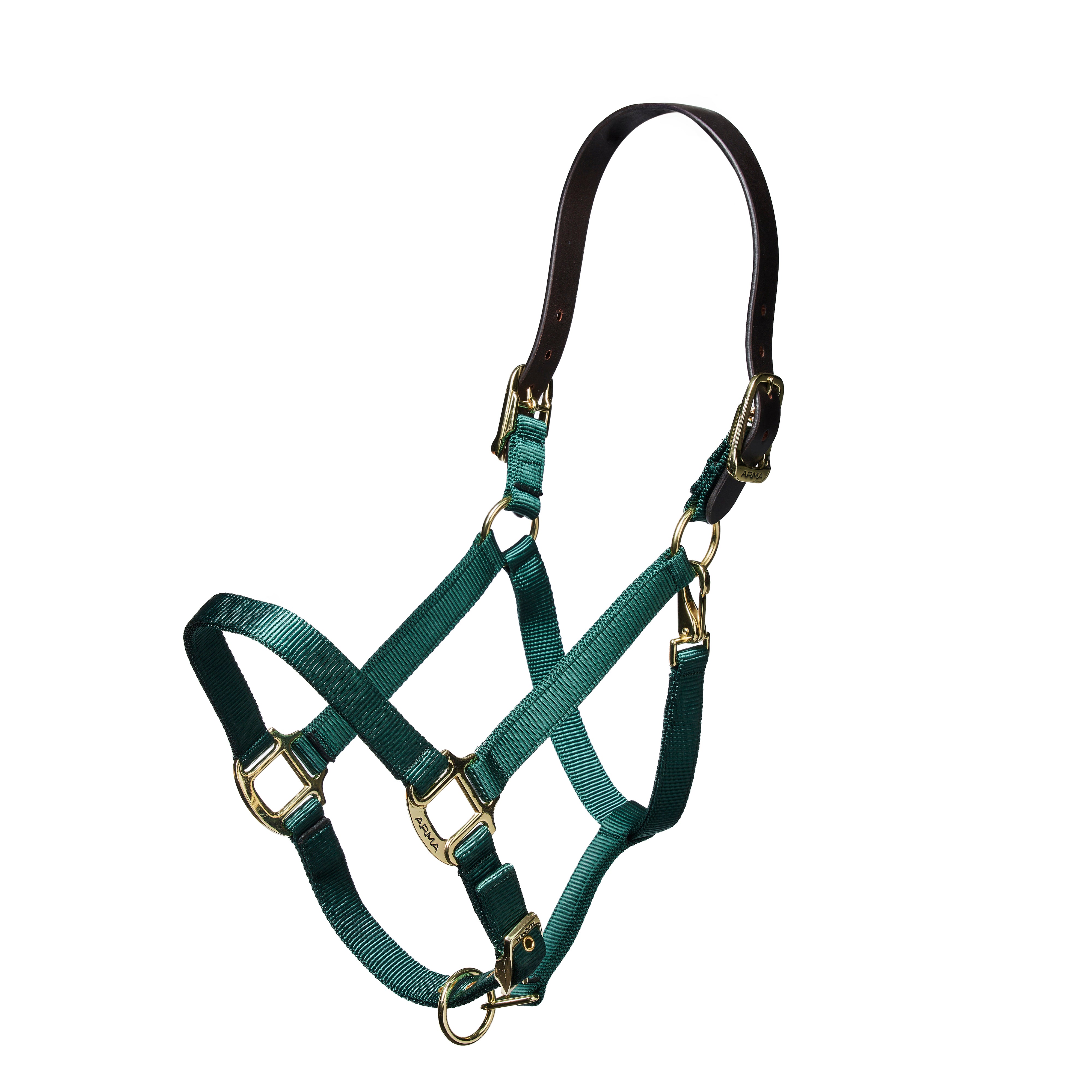 Shires Nylon Halter with Leather Crown-Halter-Pegasus-Pony-Black-Evolution Equestrian Co.