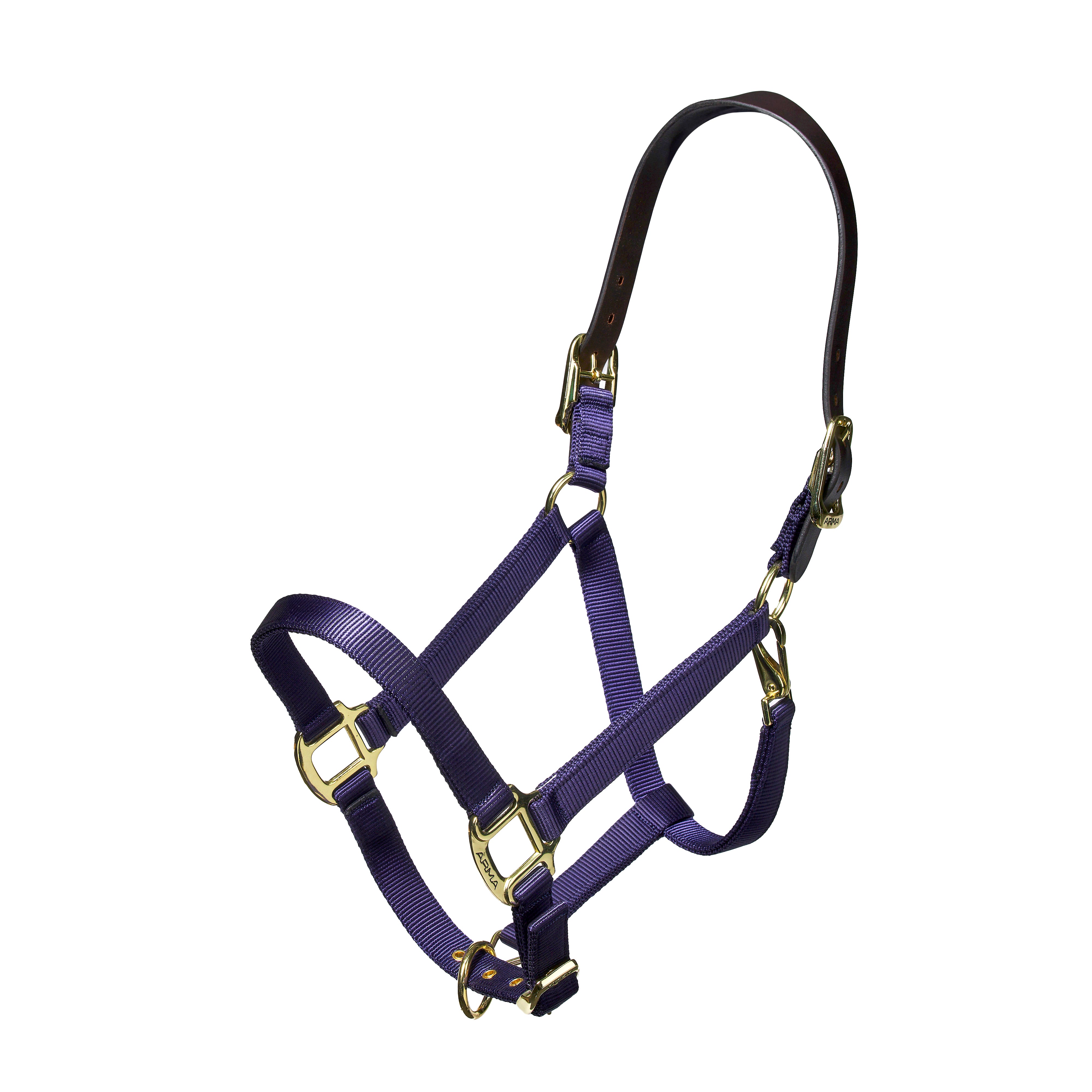 Shires Nylon Halter with Leather Crown-Halter-Pegasus-Pony-Black-Evolution Equestrian Co.
