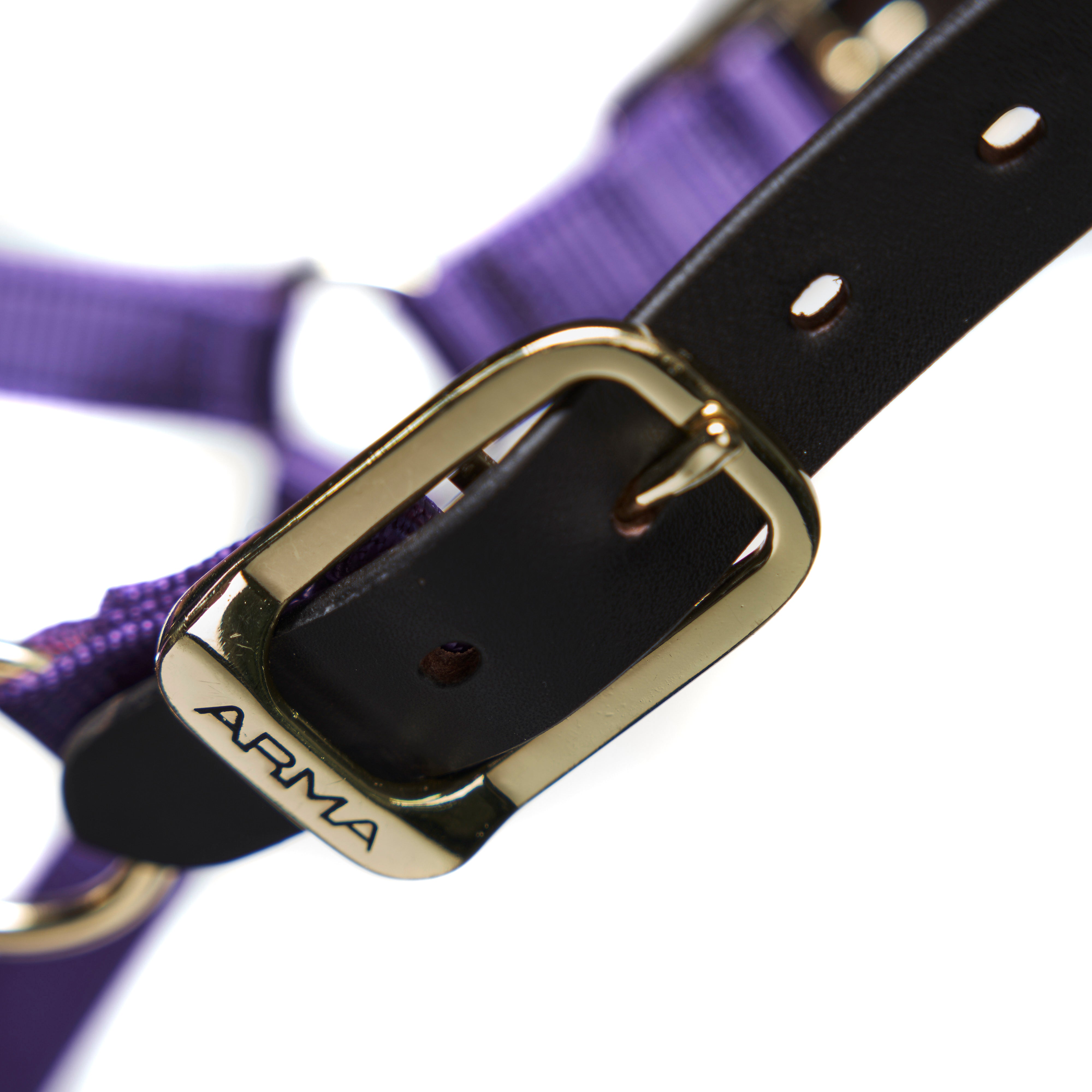 Shires Nylon Halter with Leather Crown-Halter-Pegasus-Pony-Black-Evolution Equestrian Co.