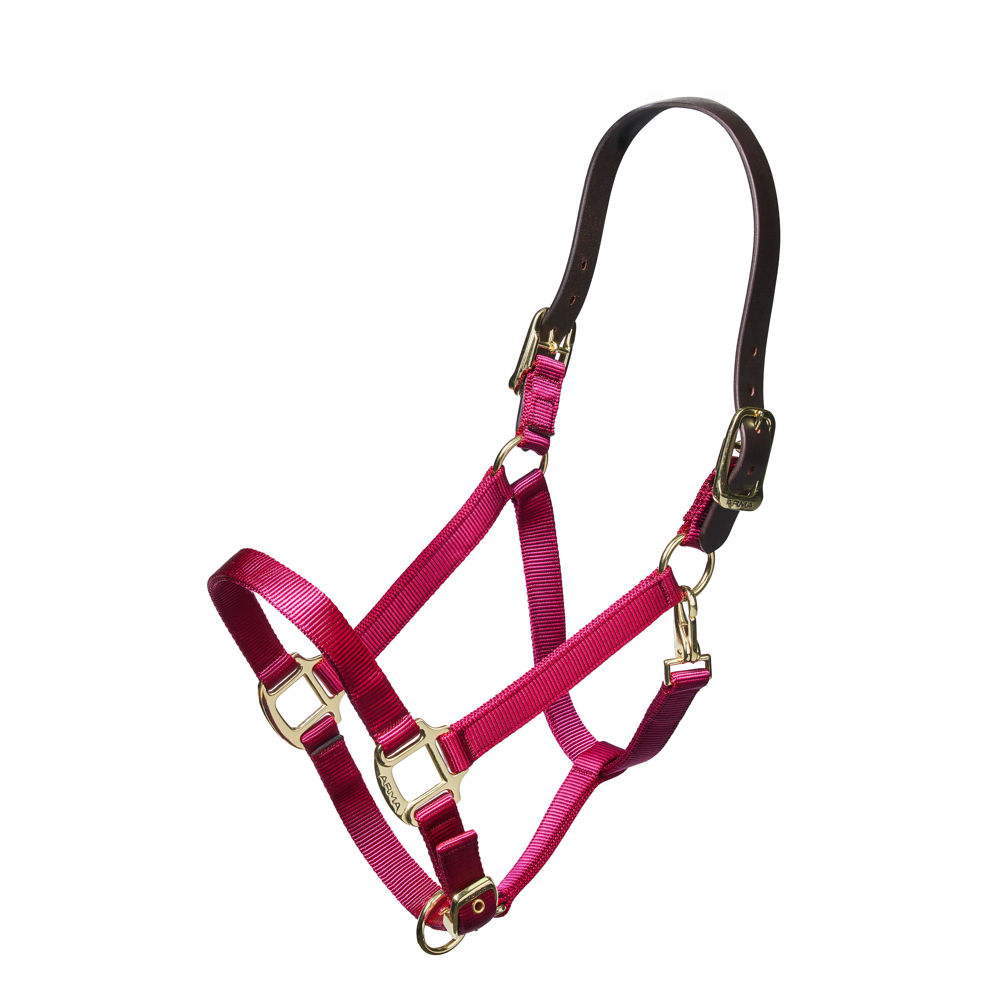 Shires Nylon Halter with Leather Crown-Halter-Pegasus-Pony-Black-Evolution Equestrian Co.