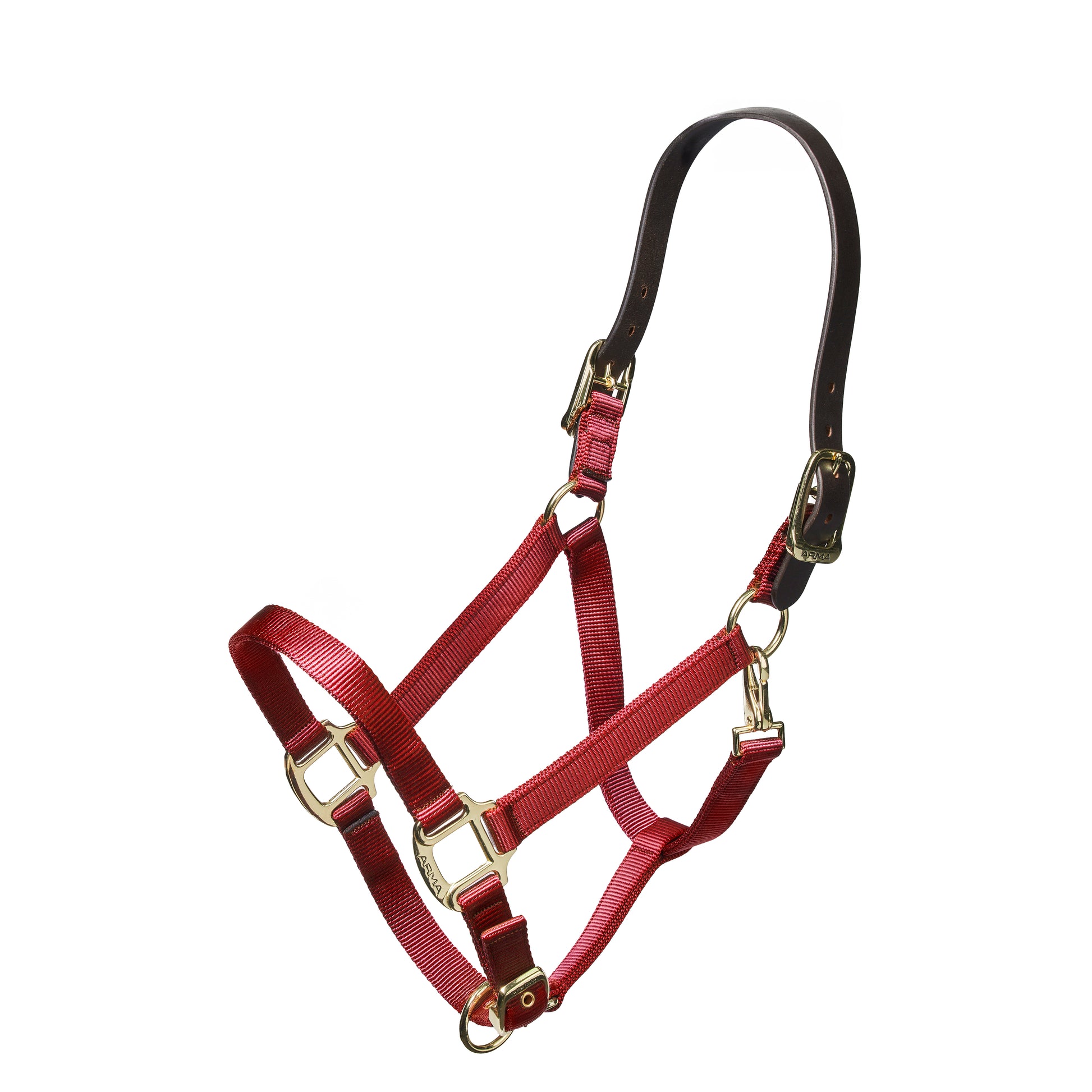 Shires Nylon Halter with Leather Crown-Halter-Pegasus-Pony-Black-Evolution Equestrian Co.