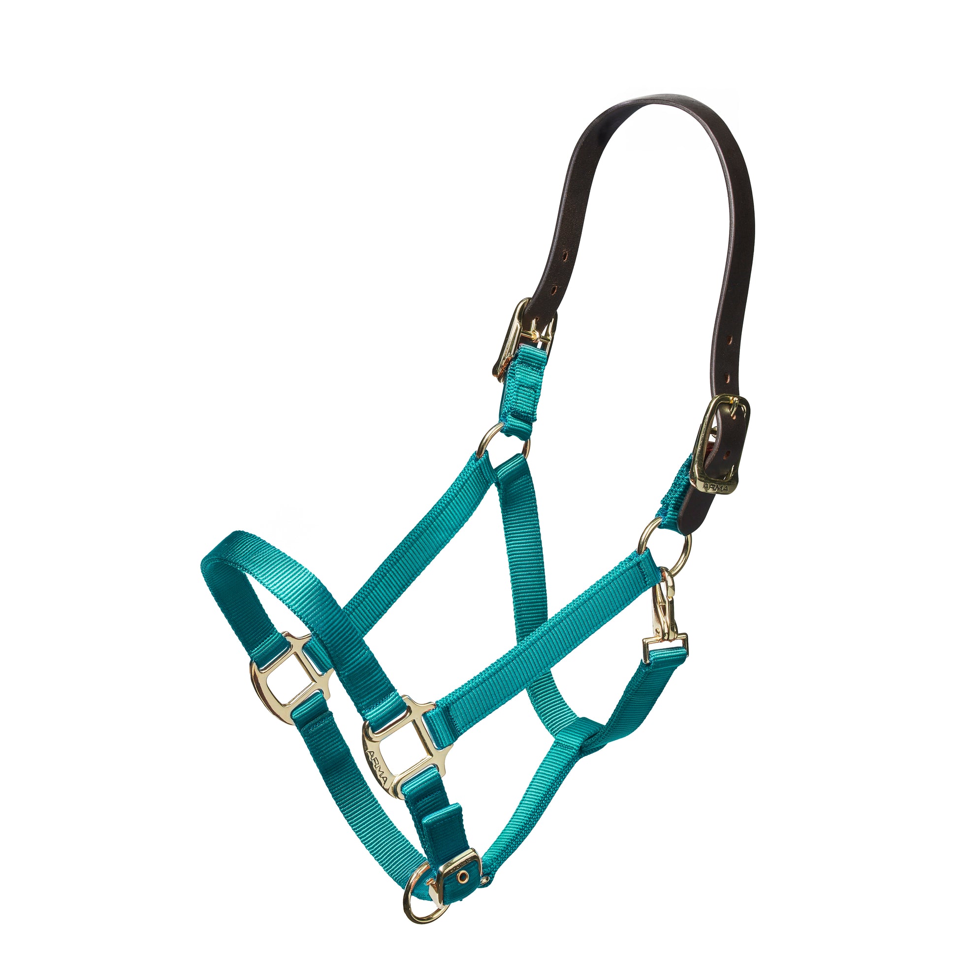 Shires Nylon Halter with Leather Crown-Halter-Pegasus-Pony-Black-Evolution Equestrian Co.