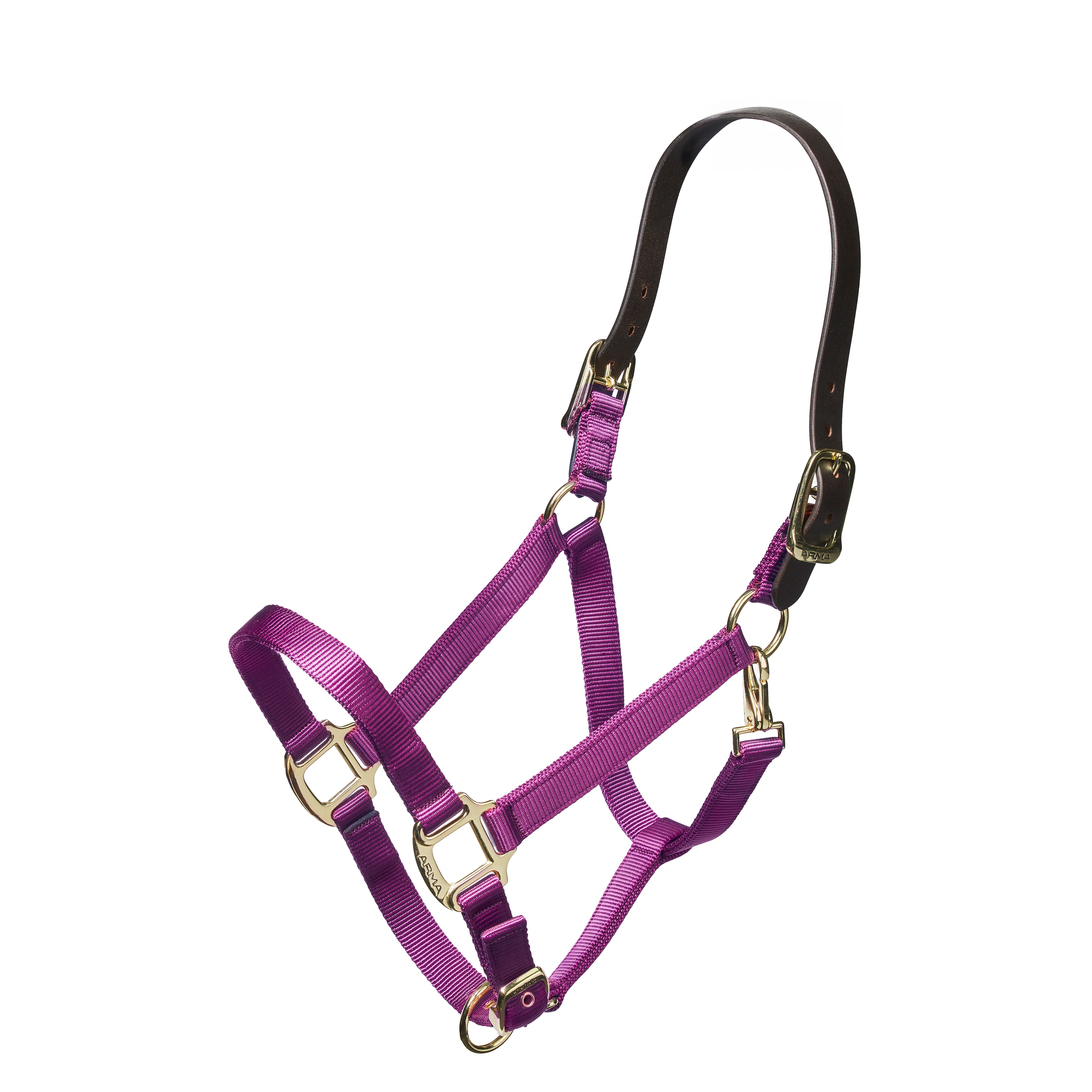 Shires Nylon Halter with Leather Crown-Halter-Pegasus-Pony-Black-Evolution Equestrian Co.