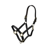 Shires Nylon Halter with Leather Crown-Halter-Pegasus-Full-Black-Evolution Equestrian Co.