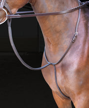 Standing_Martingale

