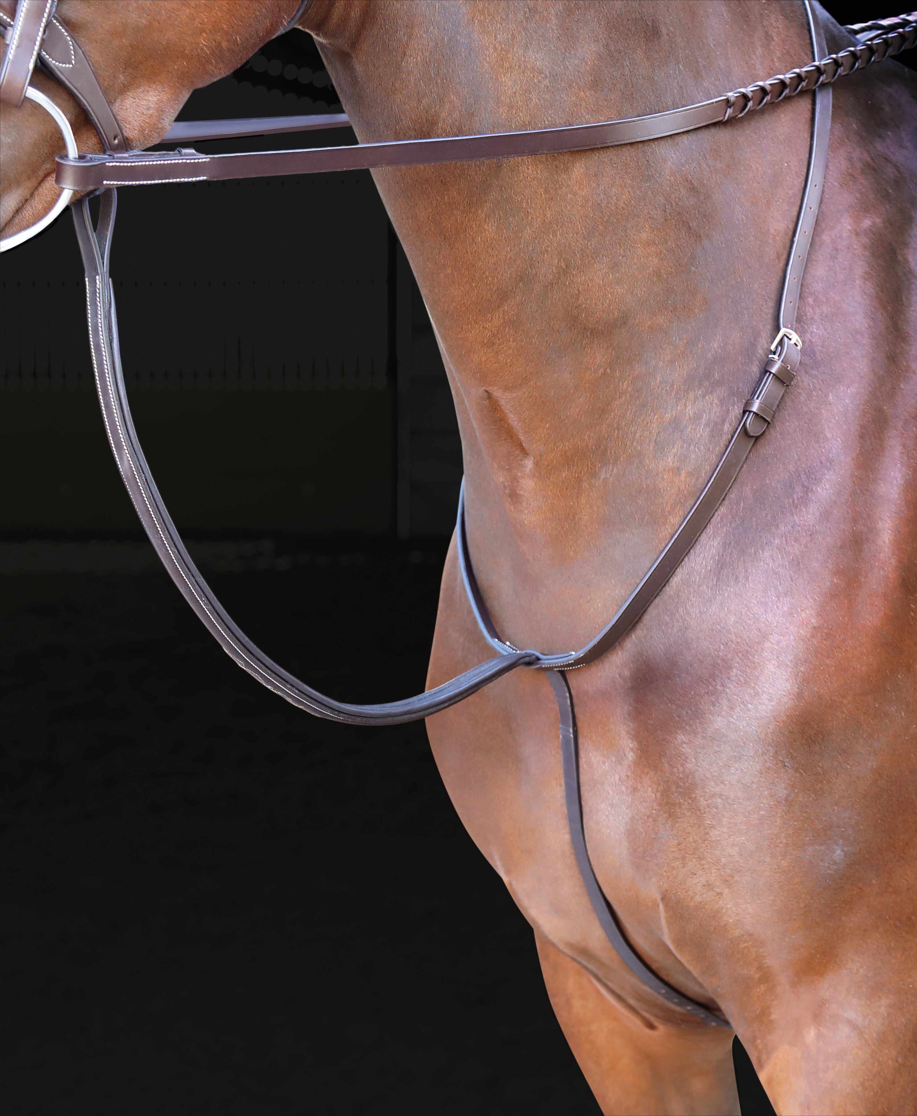 Standing_Martingale
