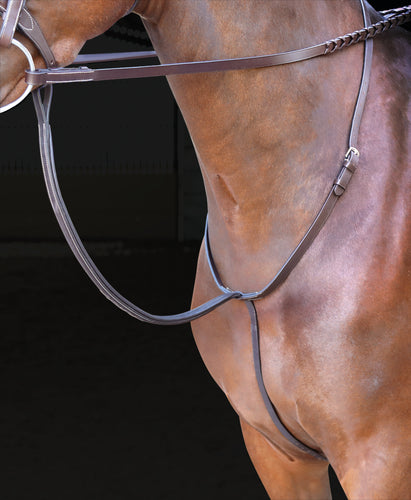 Standing_Martingale
