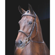 Shires Rossano Amalfi Bridle-English Bridle-Pegasus-X Full-Evolution Equestrian Co.