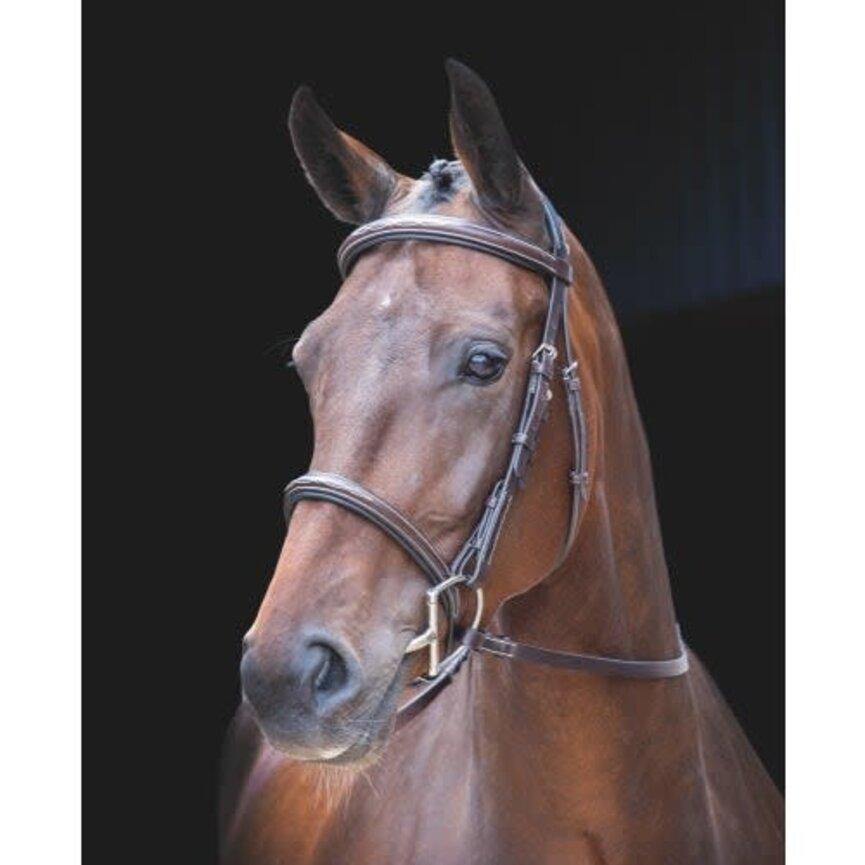 Shires Rossano Amalfi Bridle-English Bridle-Pegasus-X Full-Evolution Equestrian Co.