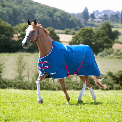 Shires Tempest Original Lite Turnout Blanket-Horse Blanket-Pegasus-48"-Evolution Equestrian Co.