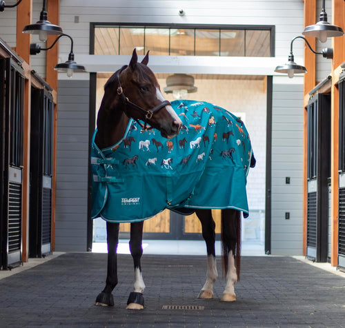 Shires Tempest Original Turnout Blanket 0g Green Horse-Horse Blankets & Sheets-Pegasus-72