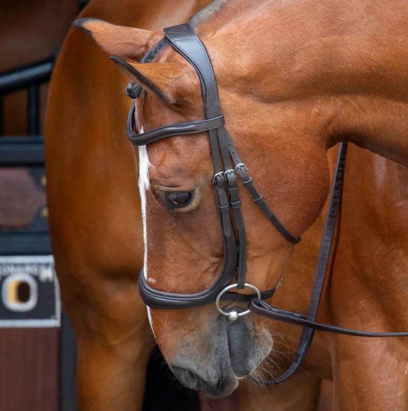 Shires Velociti RAPIDA Ergonomic Curved Cavesson Bridle-English Tack-Pegasus-Cob-Havana-Evolution Equestrian Co.